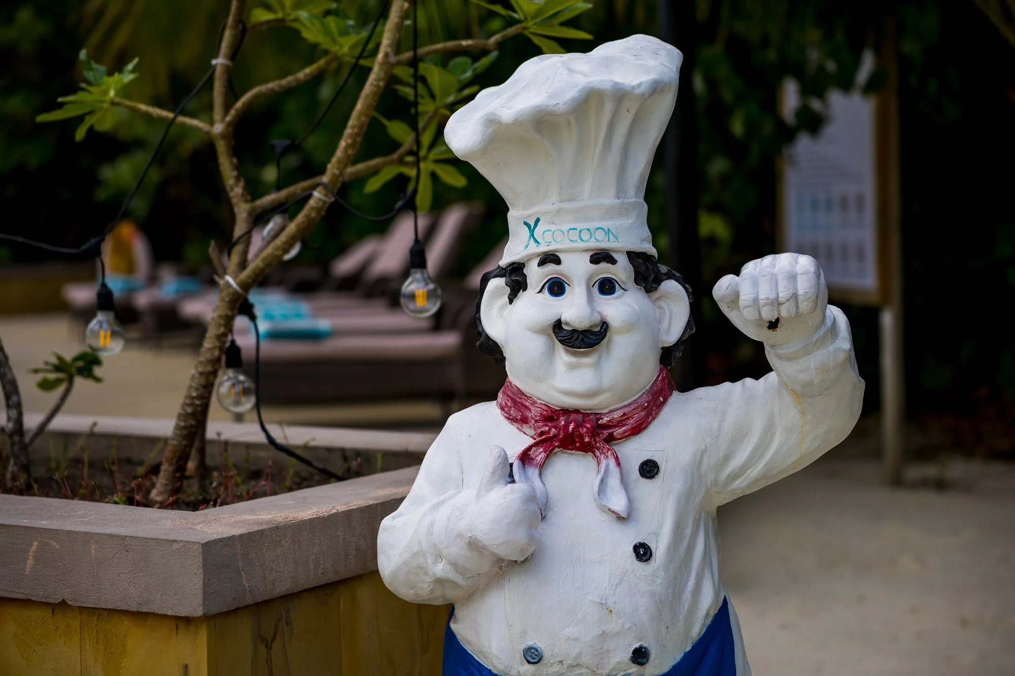 "Greetings from the Chef"