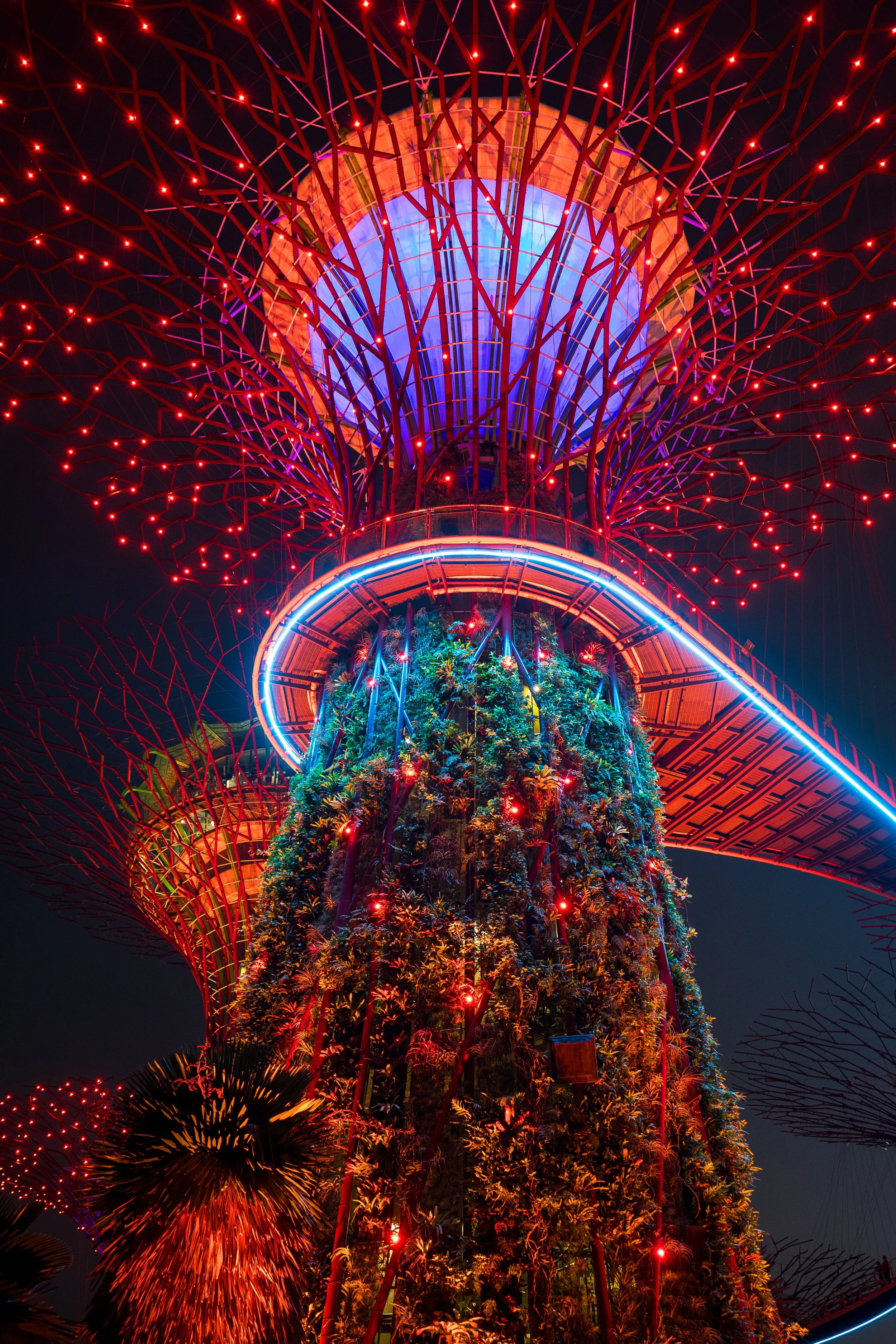 Night view of the Supertree Grove at Gardens by the Bay in Singapore, illuminated with colorful LED lights.