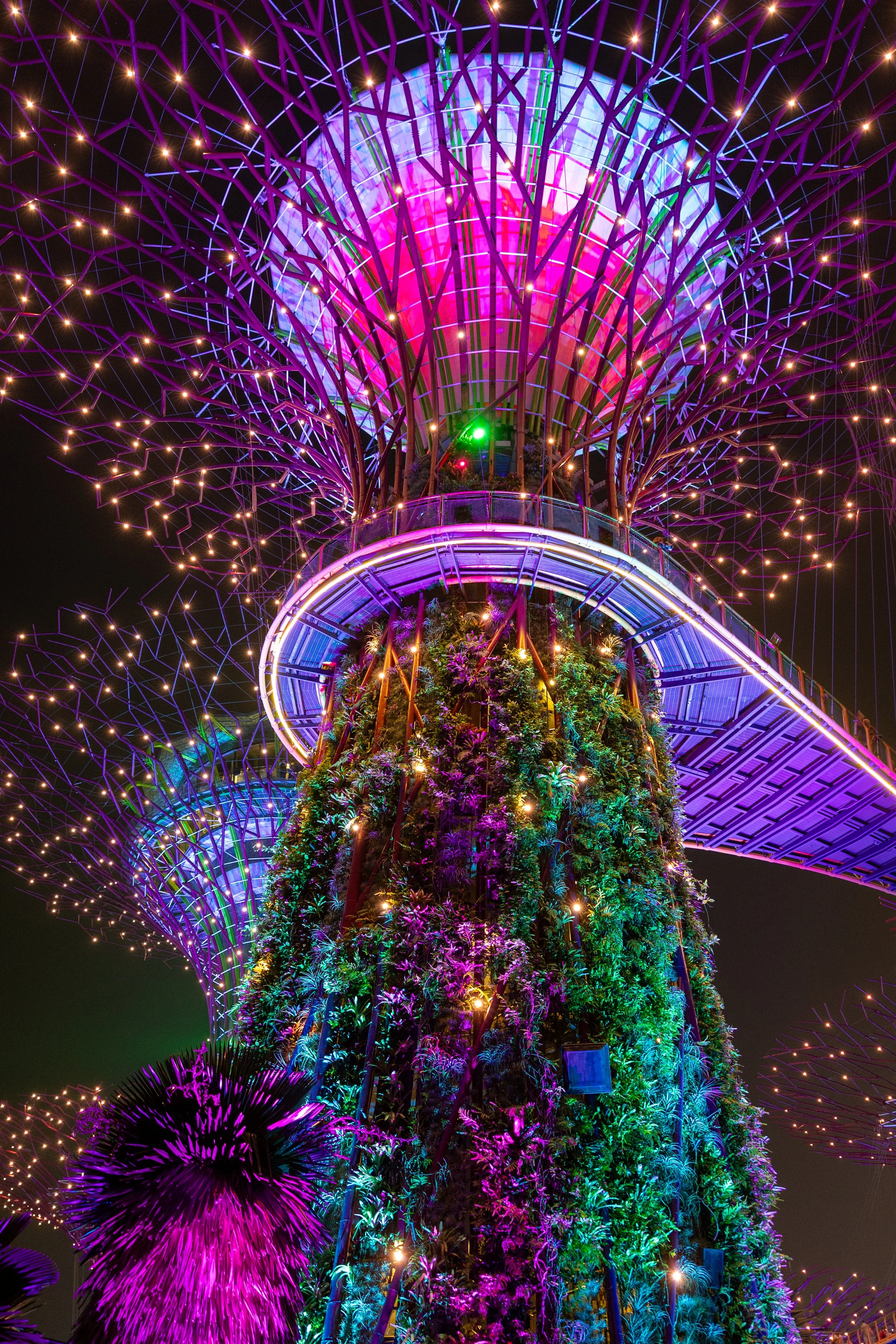 "Garden Bay Nights"