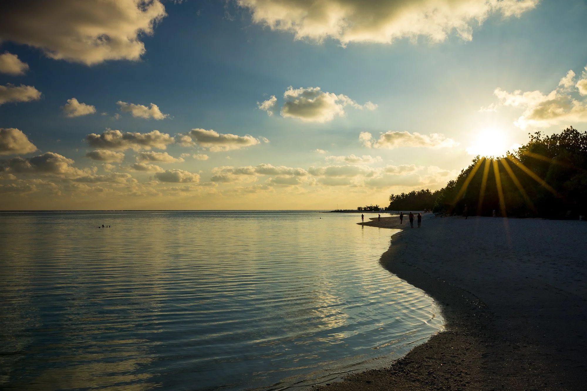 "The Edge of Evening"