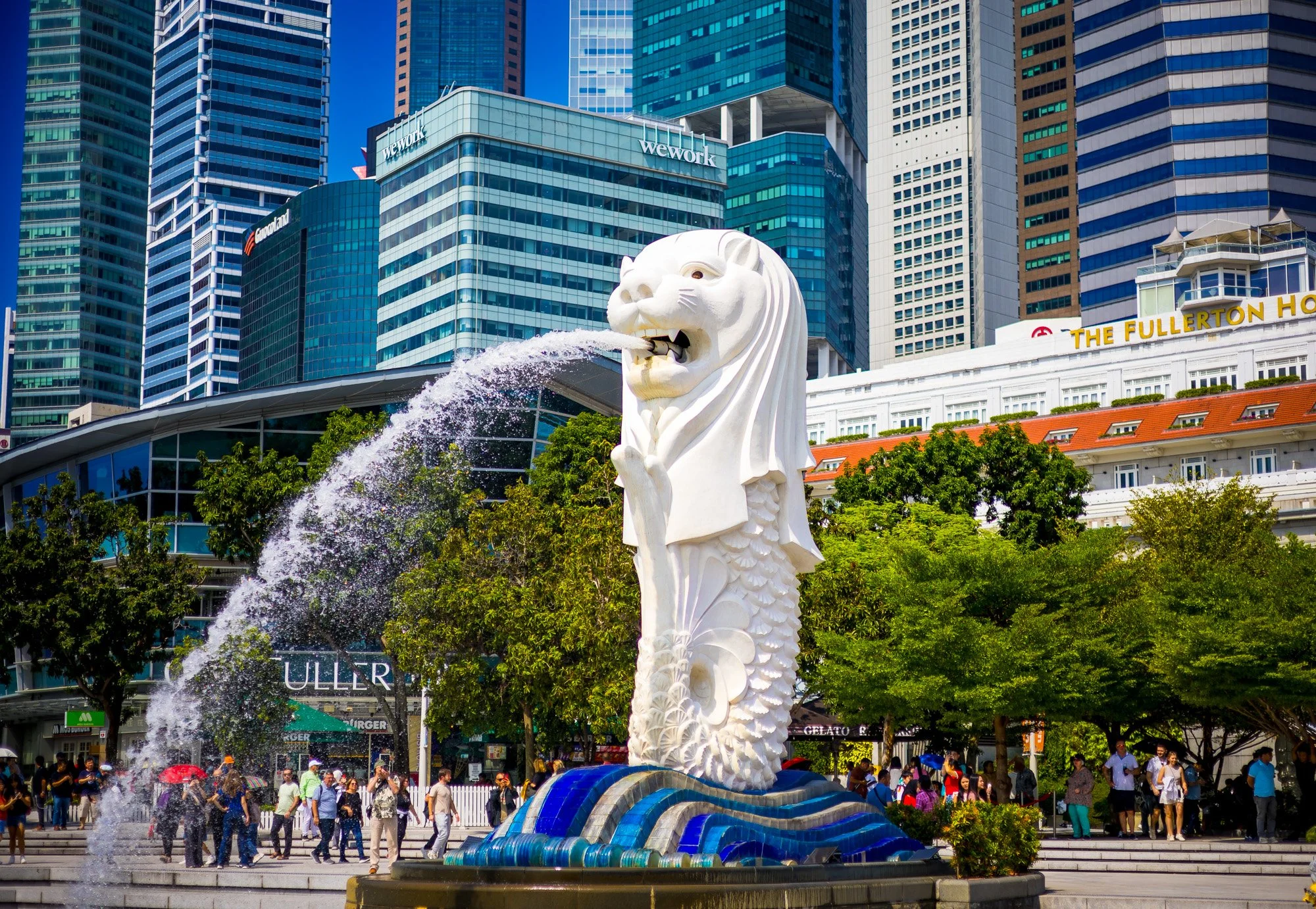 "The Tiger of the Bay"