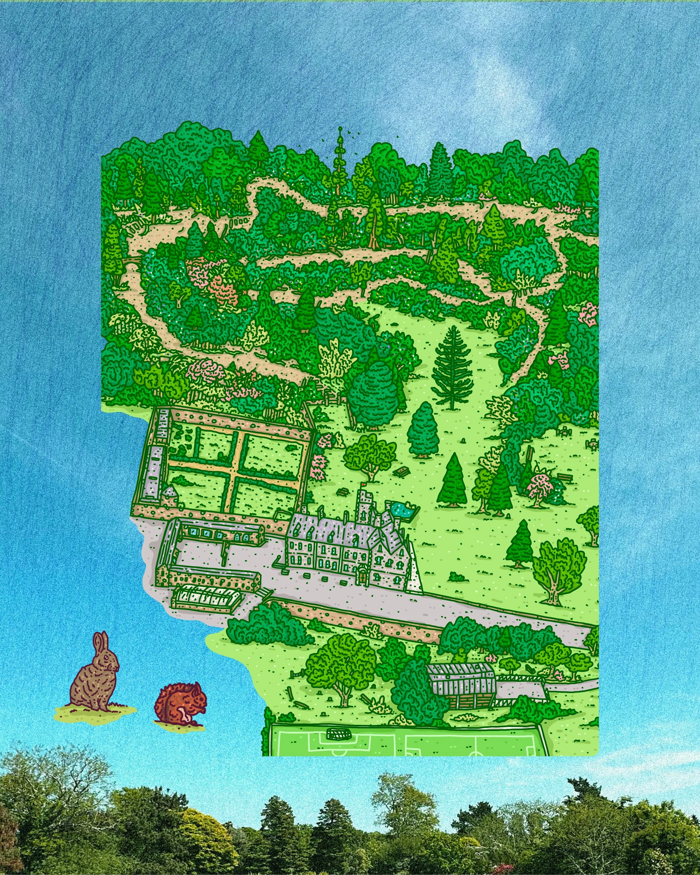 Woodland trail details