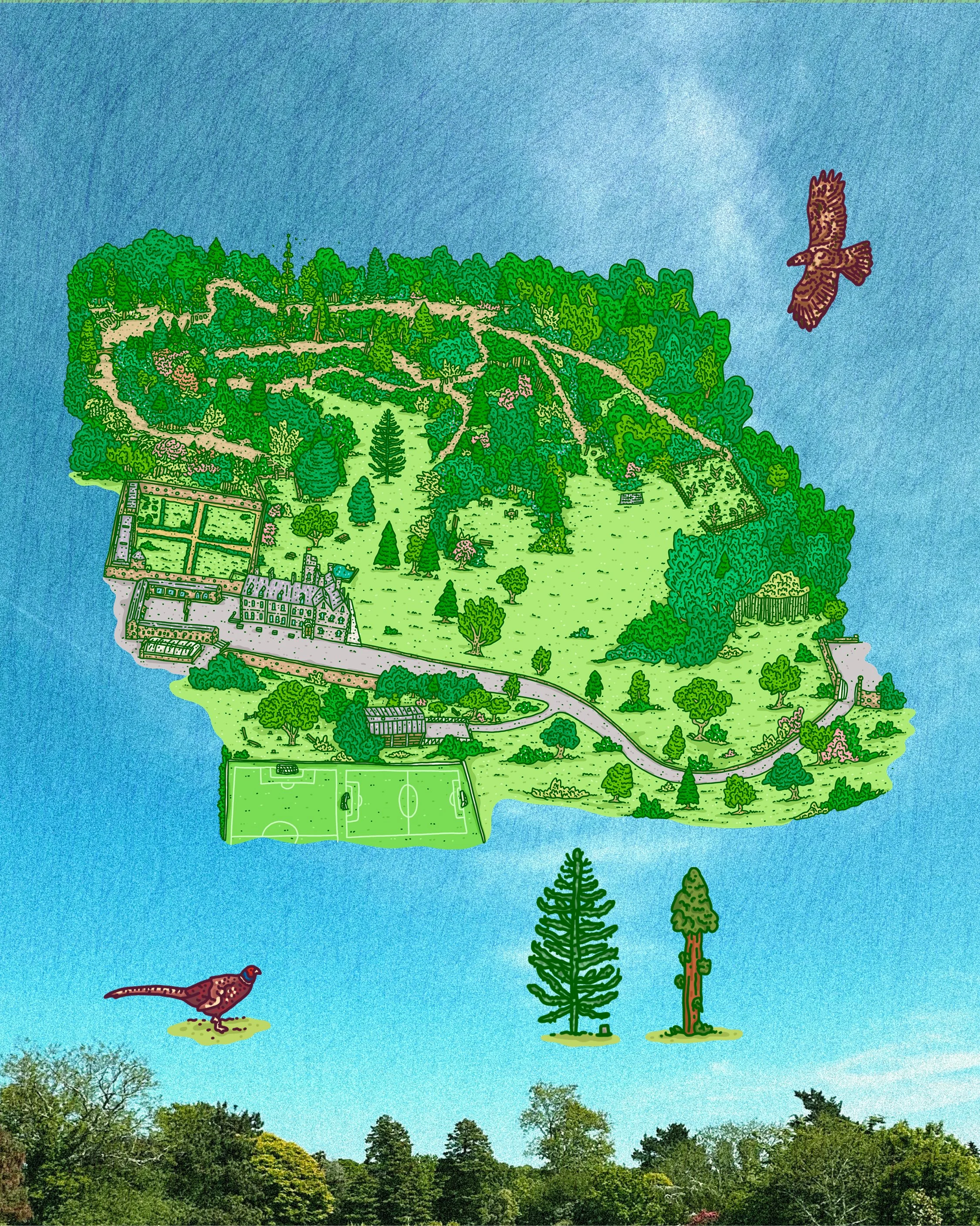 St George's Woodland Map