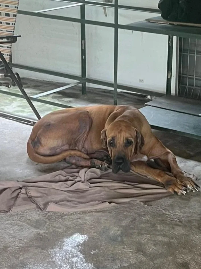 P is currently being boarded at a home where he is receiving supportive therapy after being diagnosed with cancer that metastasized to his muscles and thoracic area. We are focused on managing his pain so that he lives out his final days as comfortab