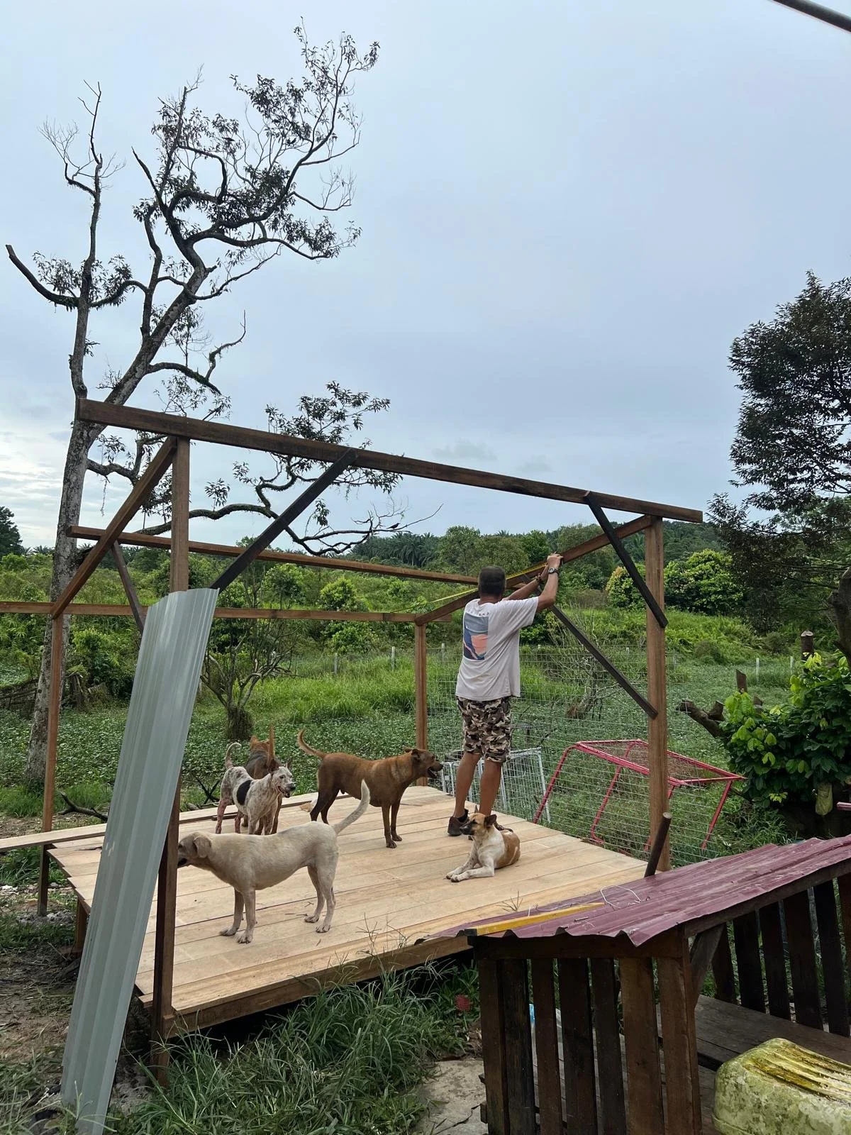 This scene depicts kingfisherdaisy's father building a shed from scratch. He is a carpenter by trade, and apart from building infrastructure, he also supports by doing reparative work on things that are breaking down in the shelter, such as locks and