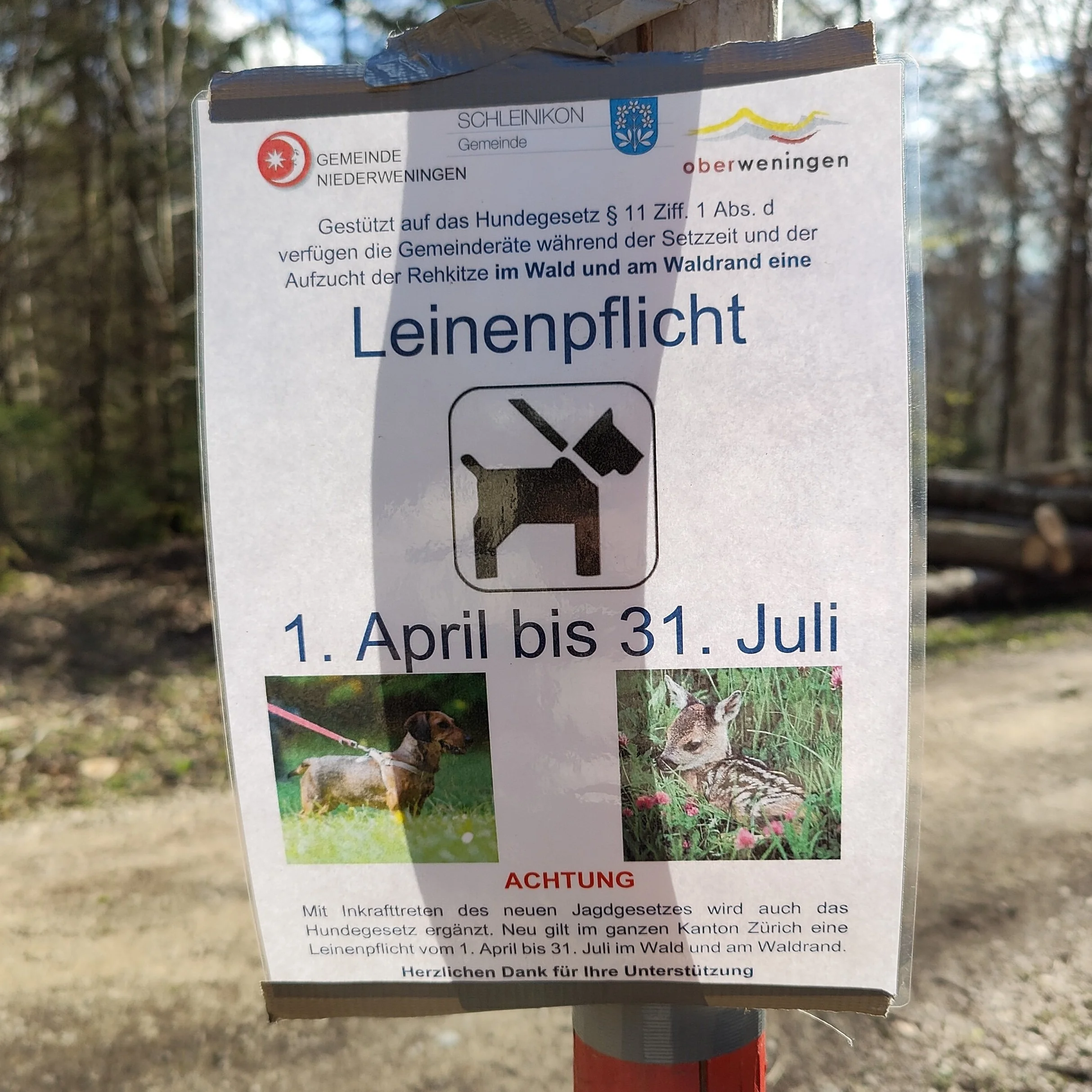 Leinenpflicht in Oberweningen – warum sie wirkt und weshalb Präsenz entscheidend ist