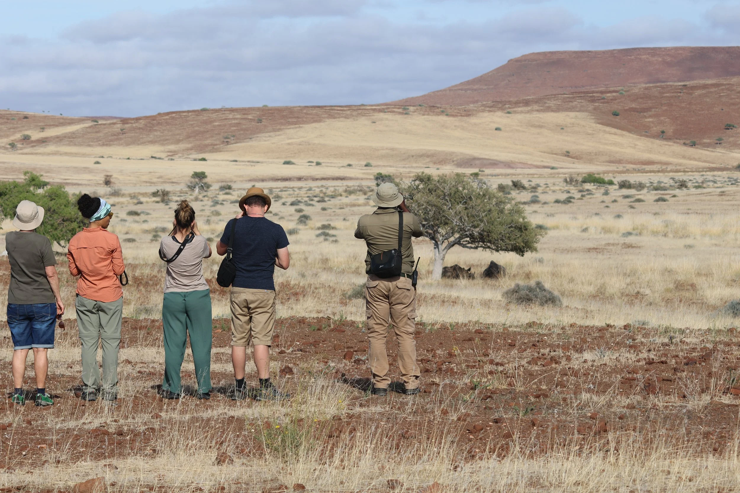Unterwegs im südlichen Afrika (Teil 1): Auf den Spuren der Giganten