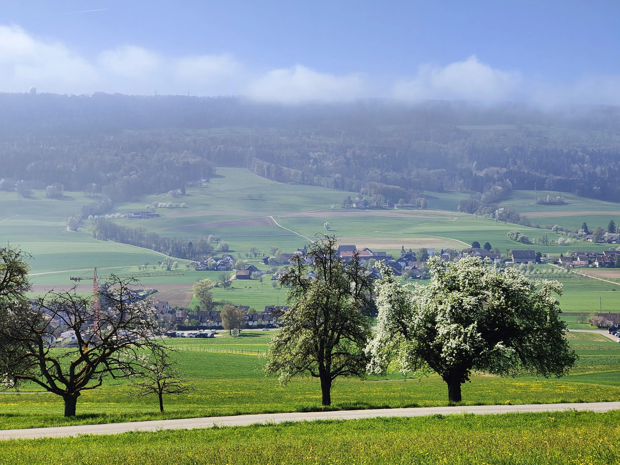 Frühlingszauber im Oberweniger Eggwald