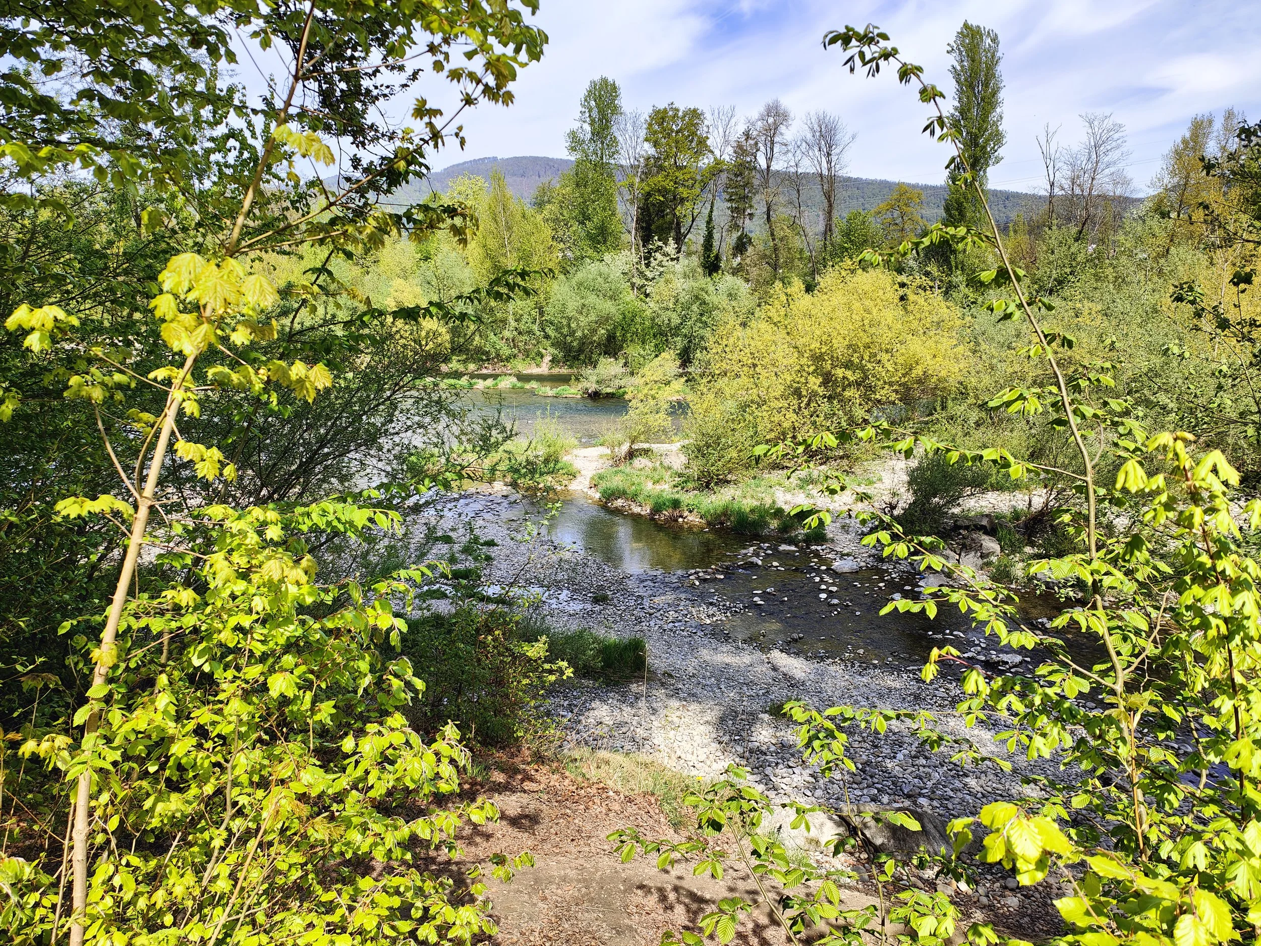 Öisi Aare: beobachten, verstehen, sensibilisieren