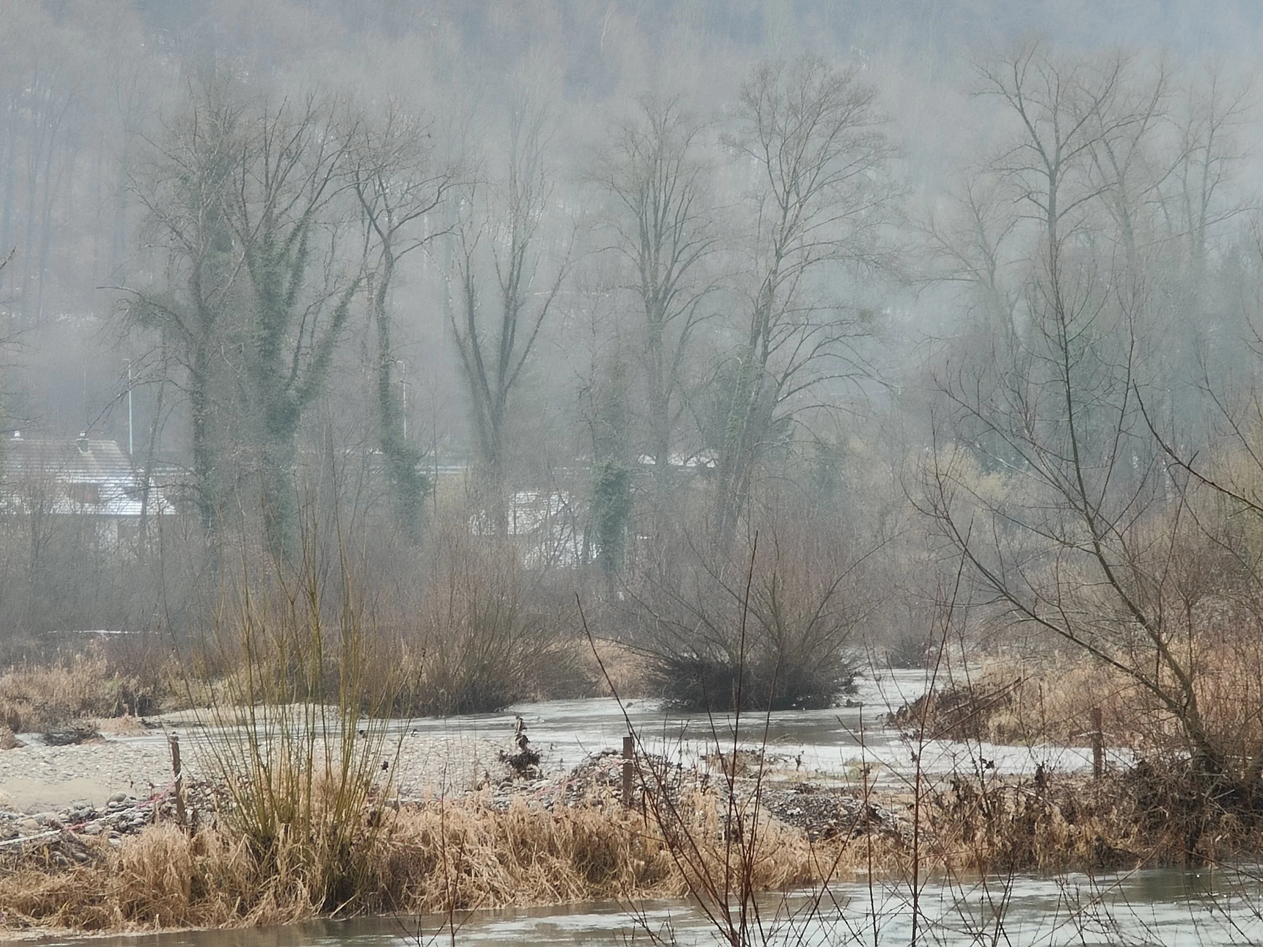 Die Insel, die niemand betreten darf