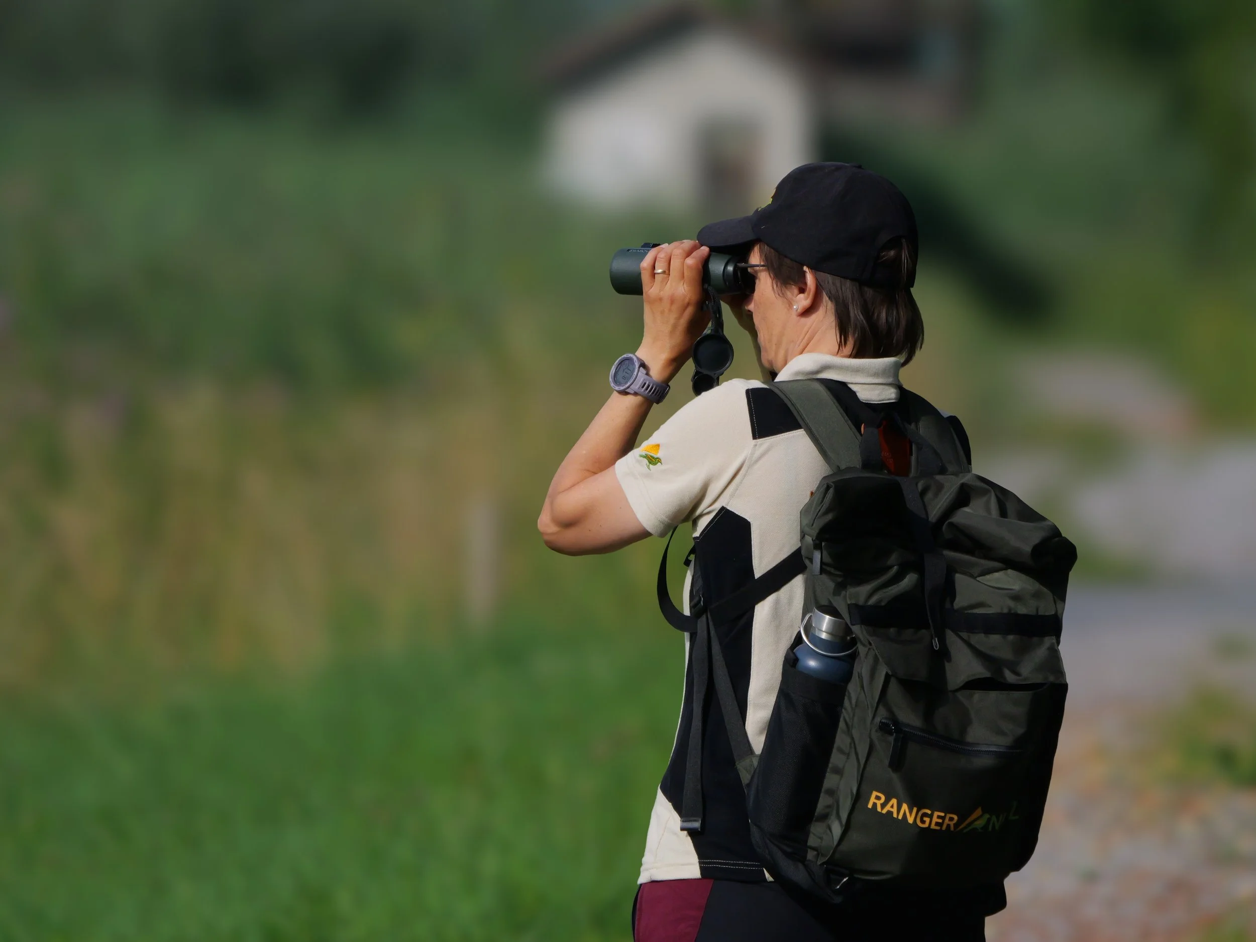 Rangernetz LinthRicken (c) Christopher Müller