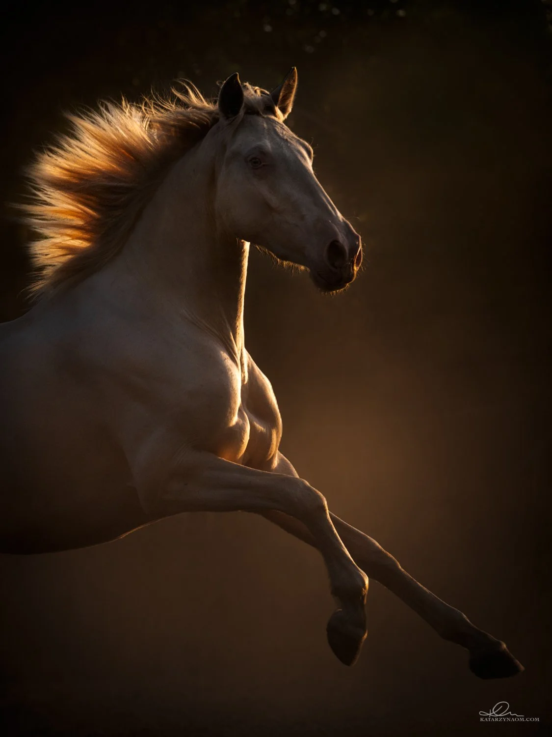 3_DSC_1837-Edit-Edit_online.jpg