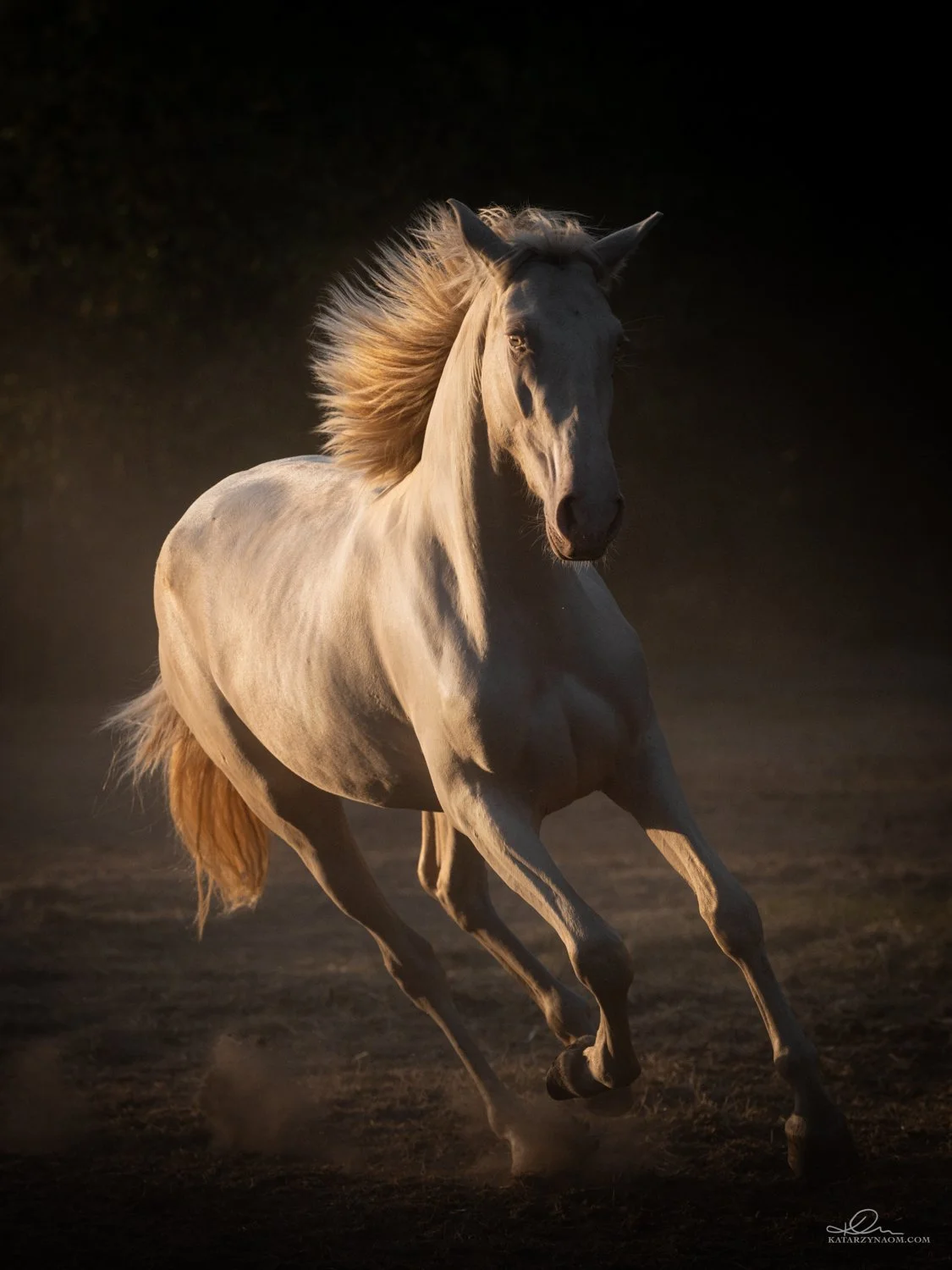 3_DSC_7706-Edit_online.jpg