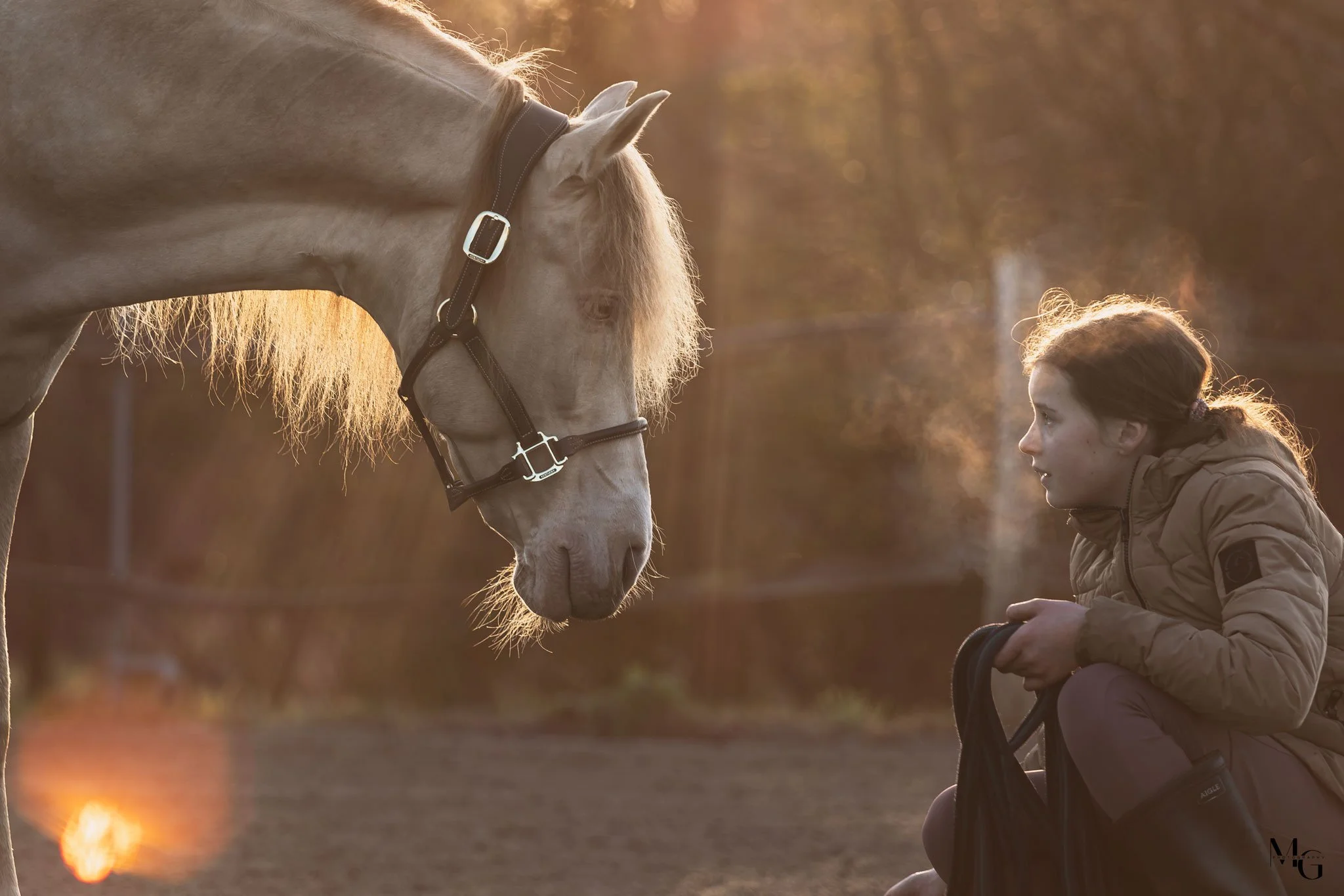 een bruine veulen die op de grond ligt op een boerderij met een houten omheining, gras en bomen op de achtergrond, bewolkte lucht