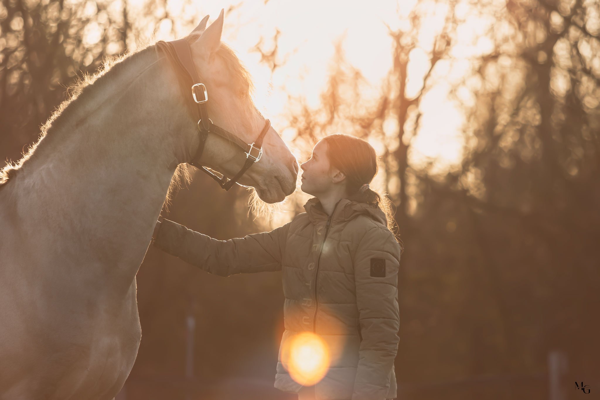 Een jonge vrouw die een paard aait tijdens zonsondergang in een bos.