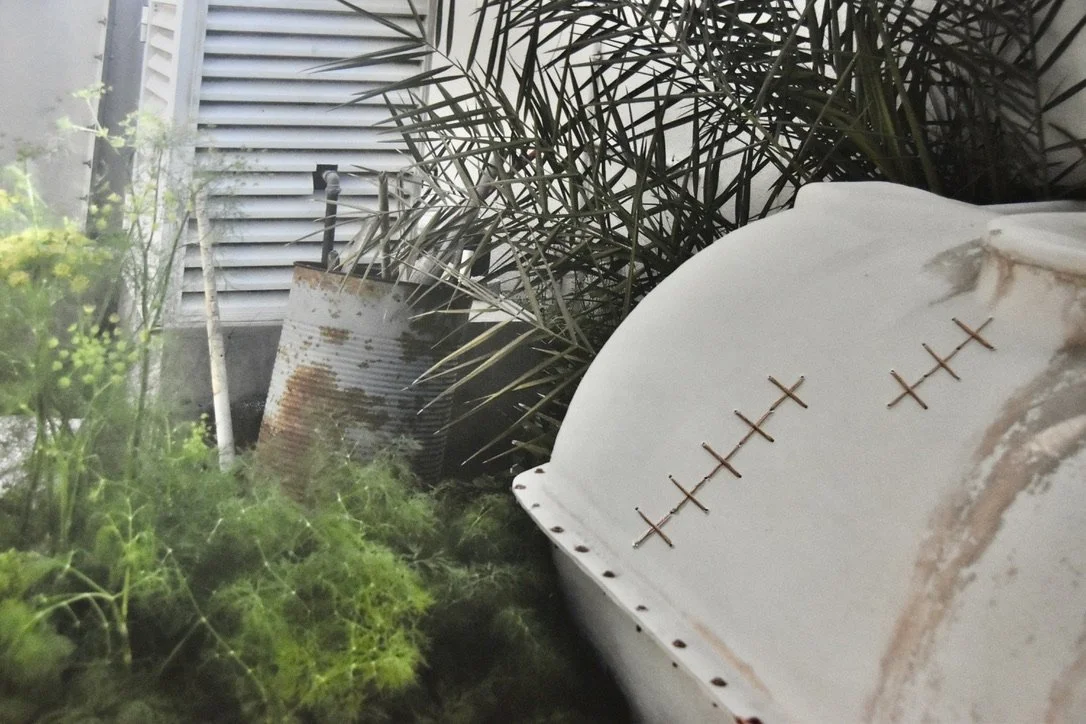 D86B6AC3-AE36-4358-8937-9514E71337D9_1_105_c (1).jpeg