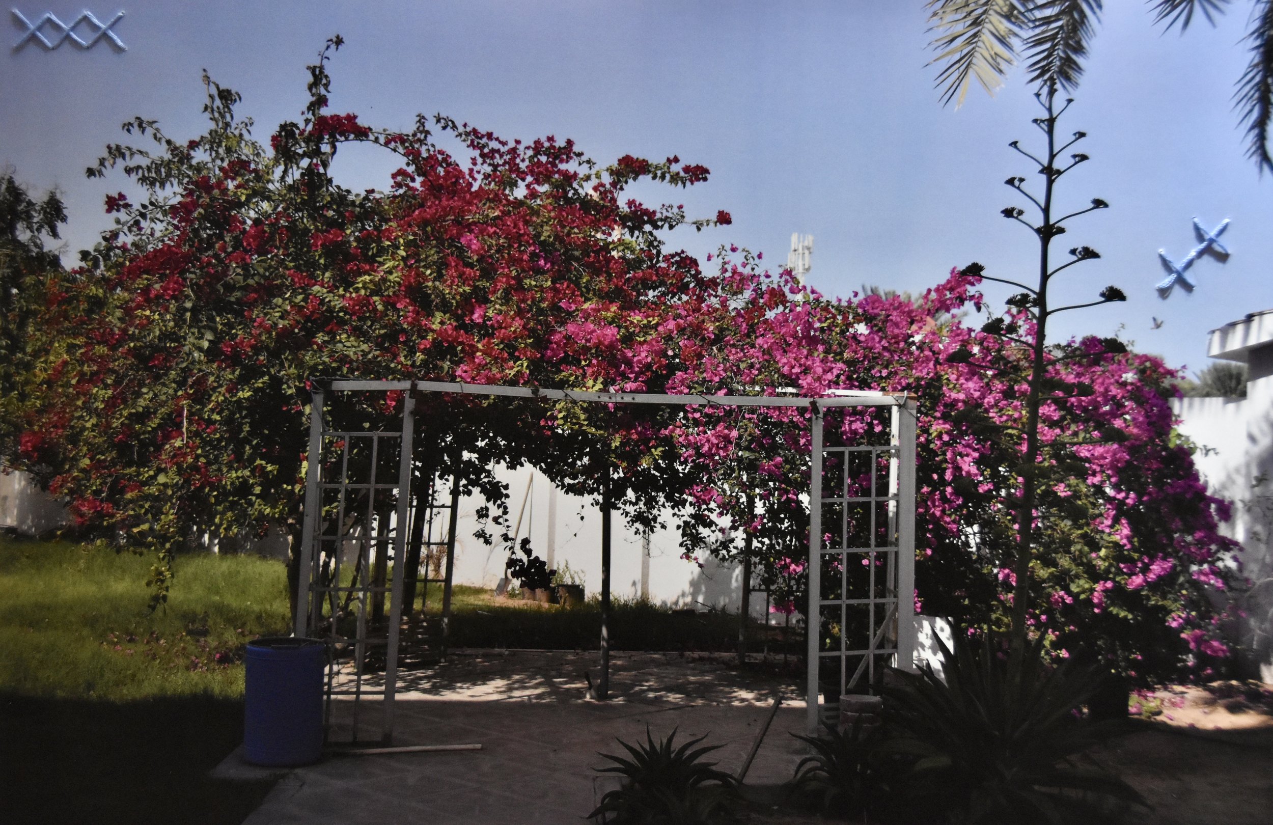 7F6E392D-8976-4068-8807-16D8F710BB71_1_201_a (1).jpeg