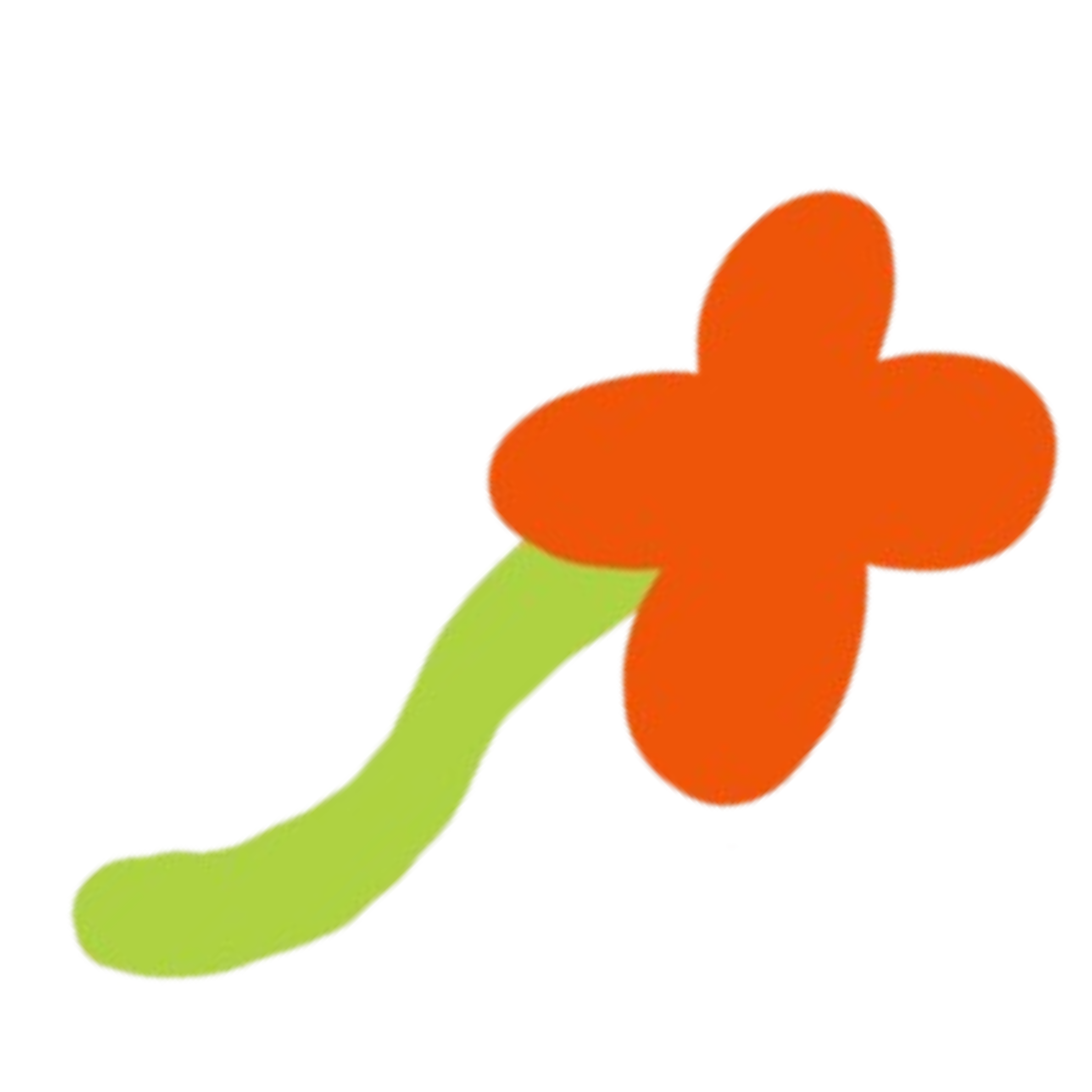 Orange flower illustrated