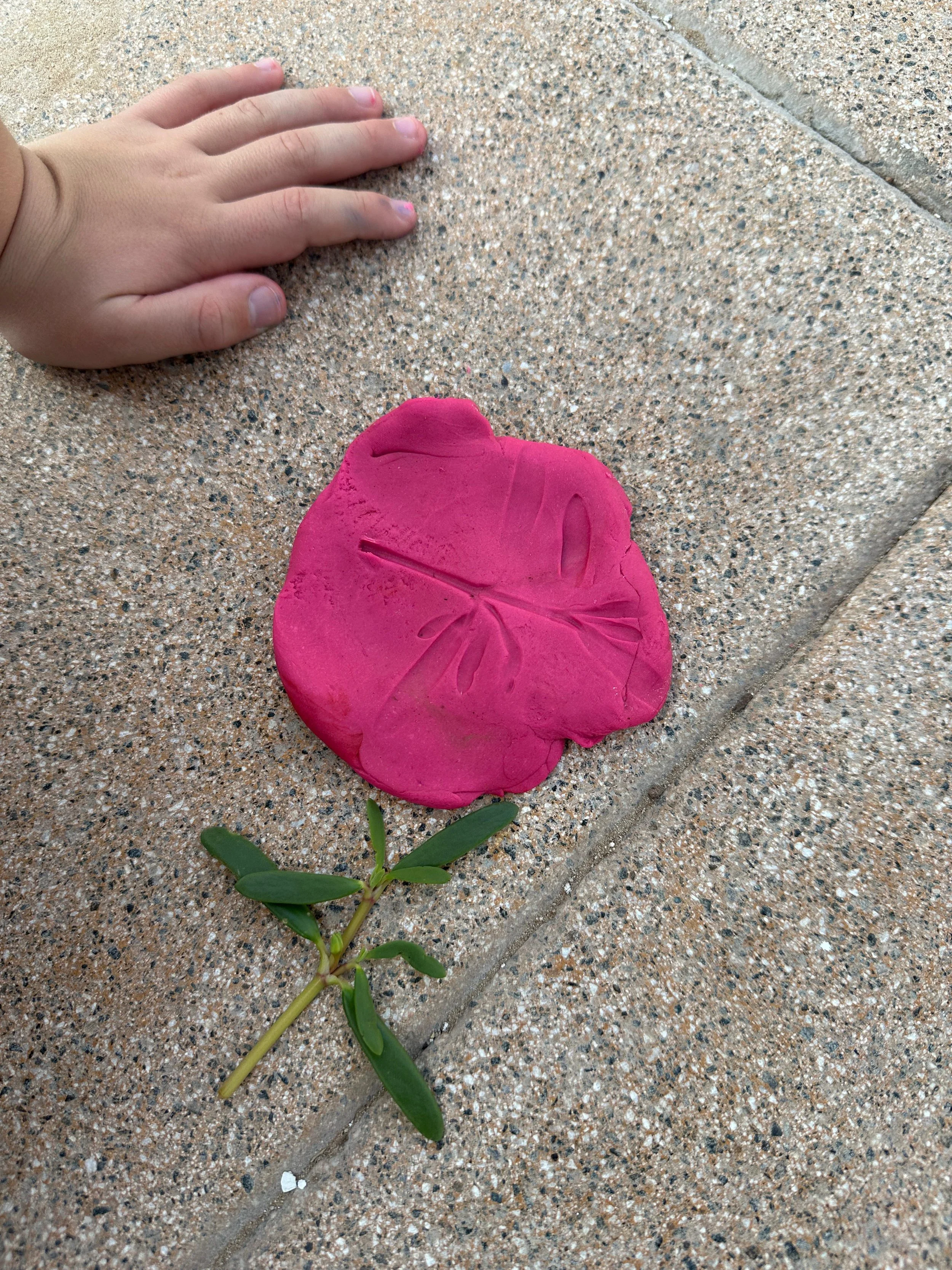 IMG-20251025-WA0017 (1).jpg