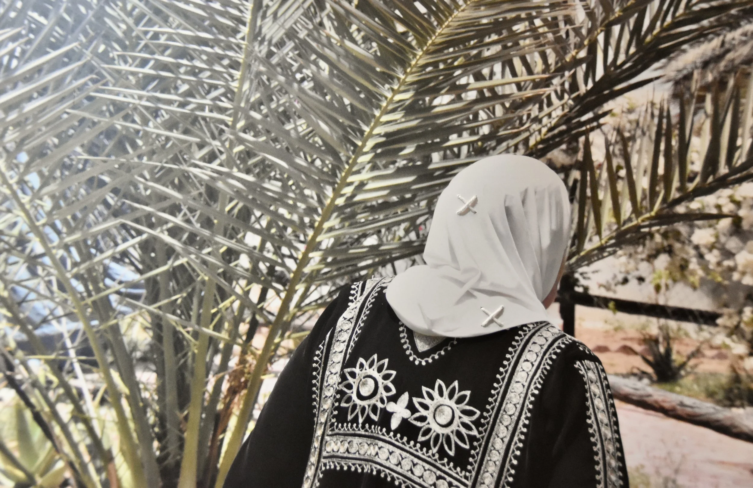 B42B935F-7612-4DB8-BAAB-2DE89C575233_1_201_a (1).jpeg