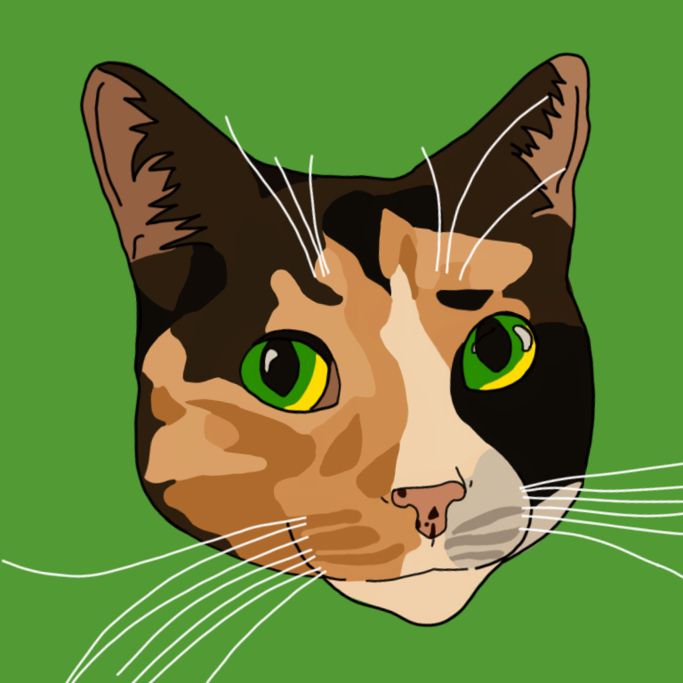 O_brien - Cricket .png