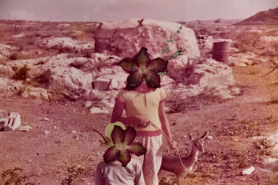 F914AE80-7F3D-4698-942B-758CA42C94A5_1_105_c (4).jpeg