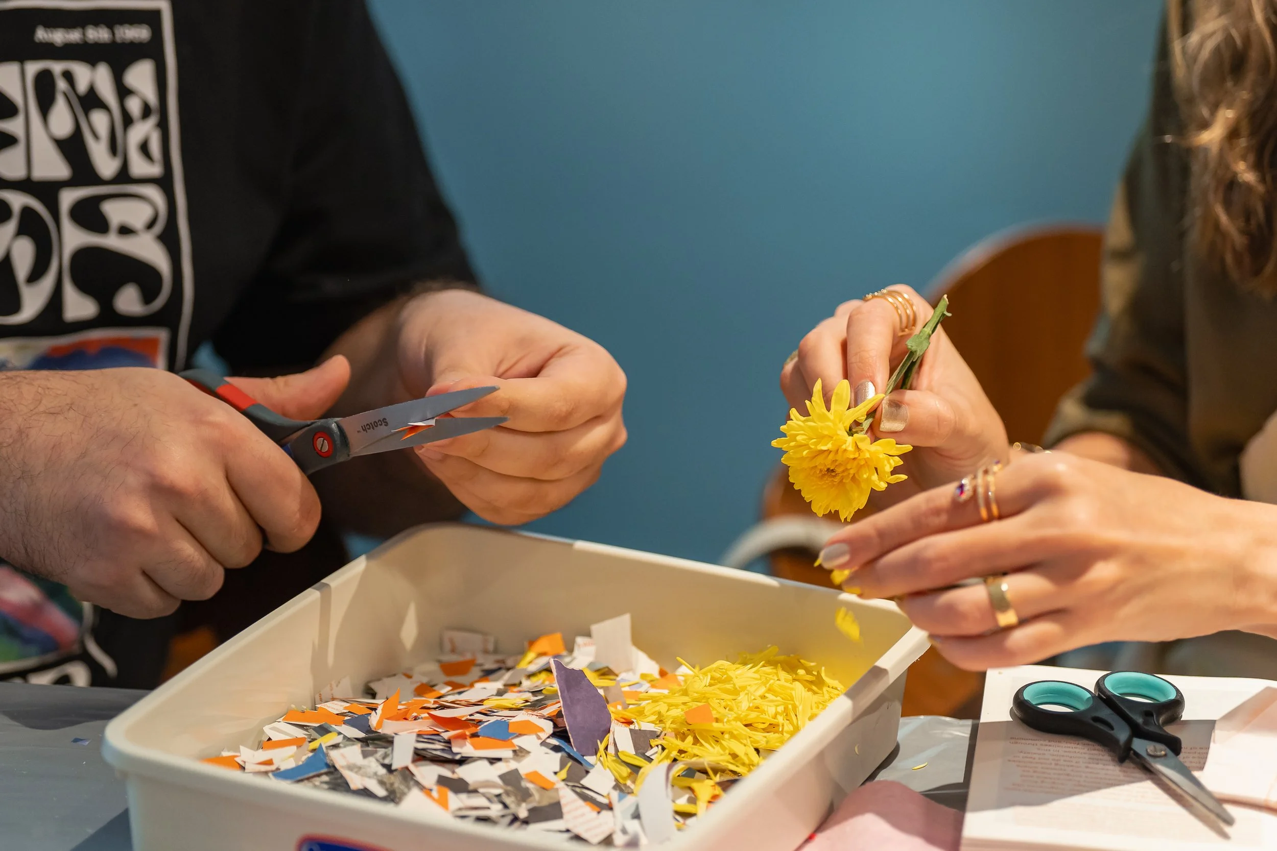 Copy of VML01029.JPG