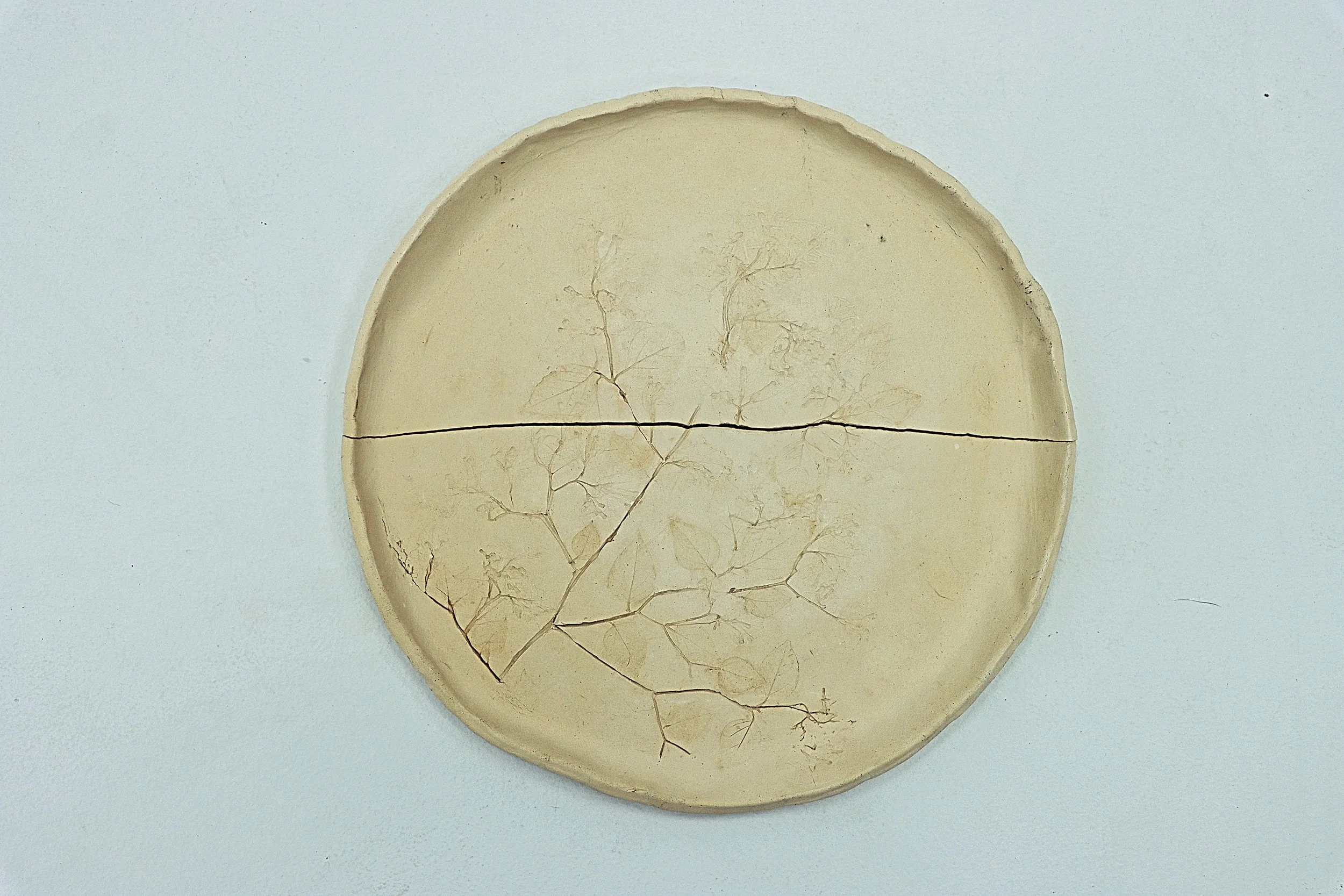 Photographs taken by Ilinca Marinescu