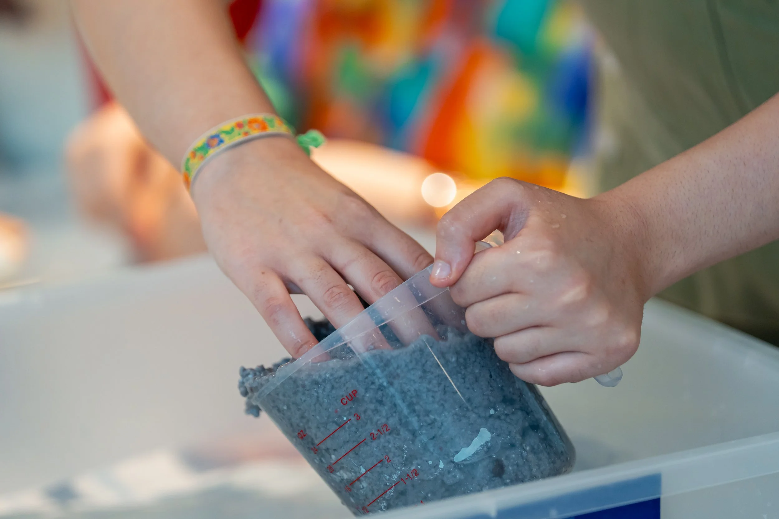 Copy of VML01039.JPG