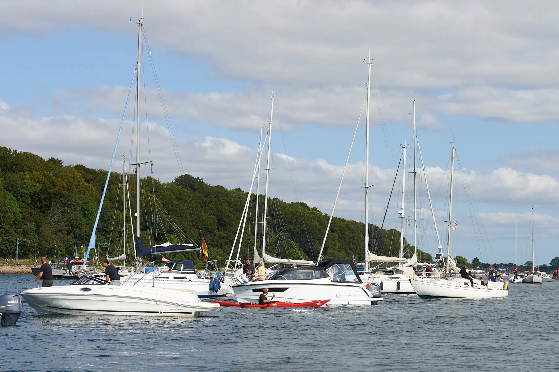 SailGP Aarhus 2- 0001 -.jpg