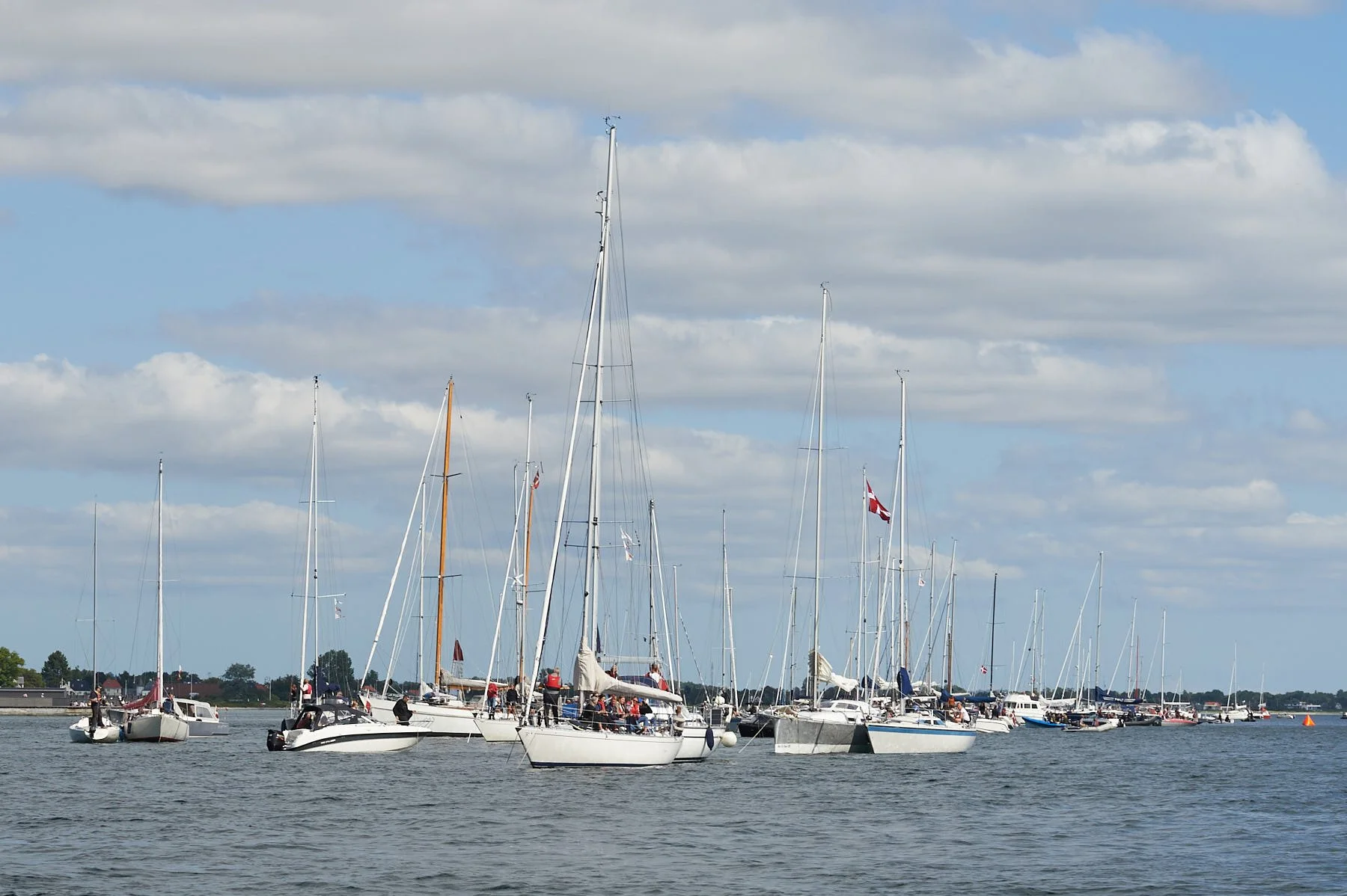 SailGP Aarhus 2- 0002 -.jpg