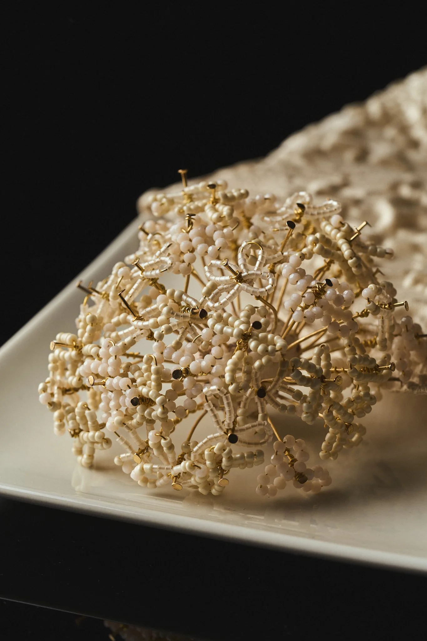 2025-10-25_Produ_Victoria_Otero0168 1.jpg