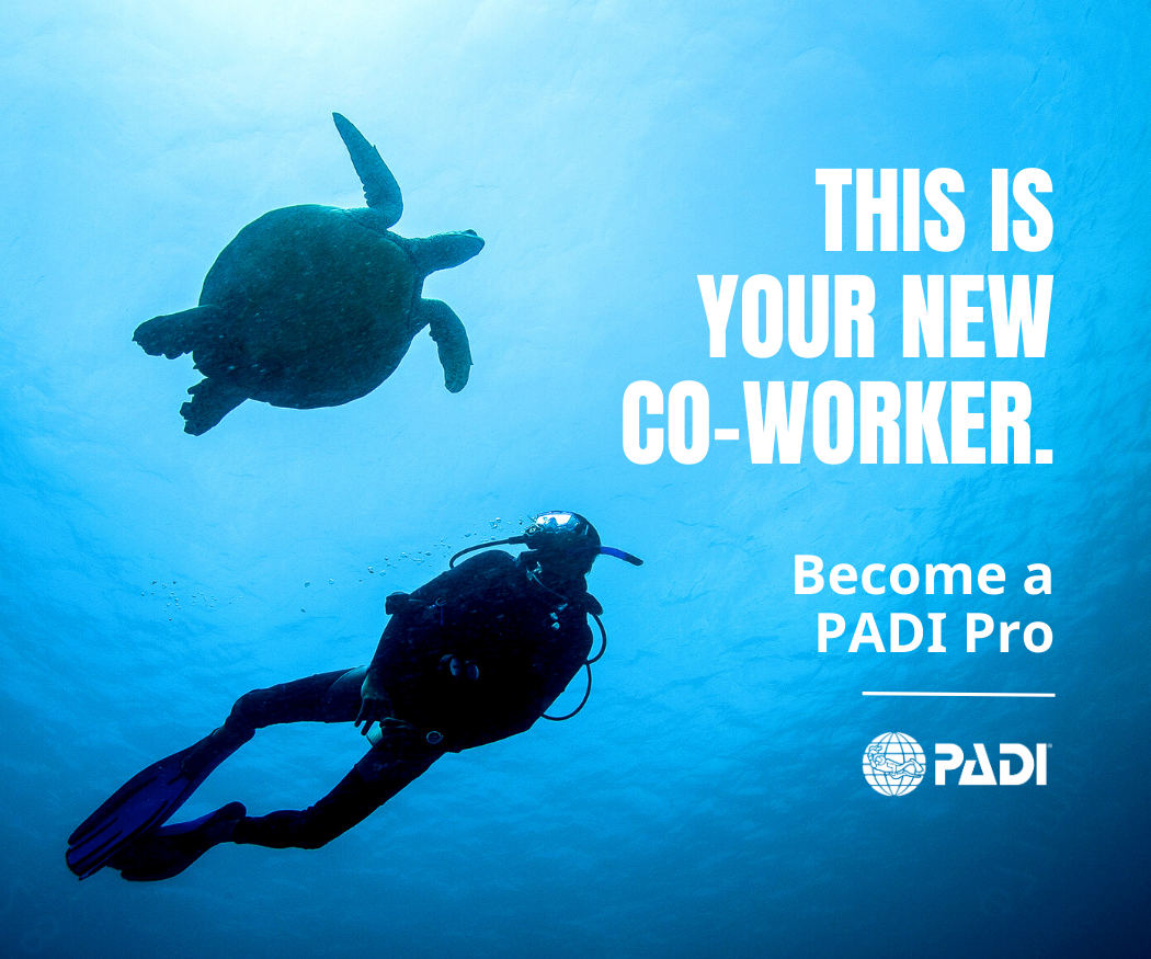 Scuba diving conditions in Amed Bali during instructor training dives