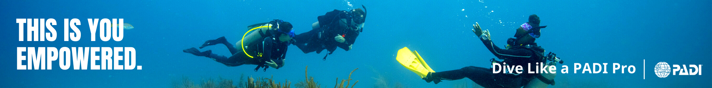 PADI Instructor Development Course training Amed Bali