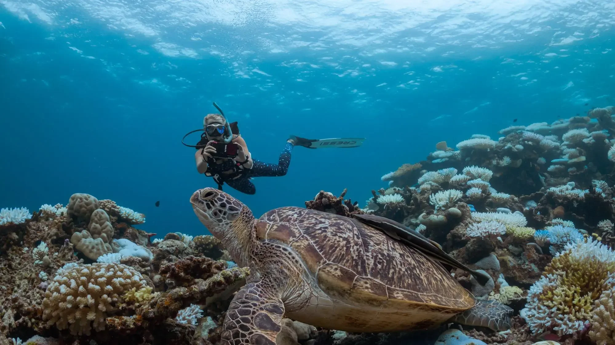 Scuba diver observing a sea turtle during training dives in Amed, Bali