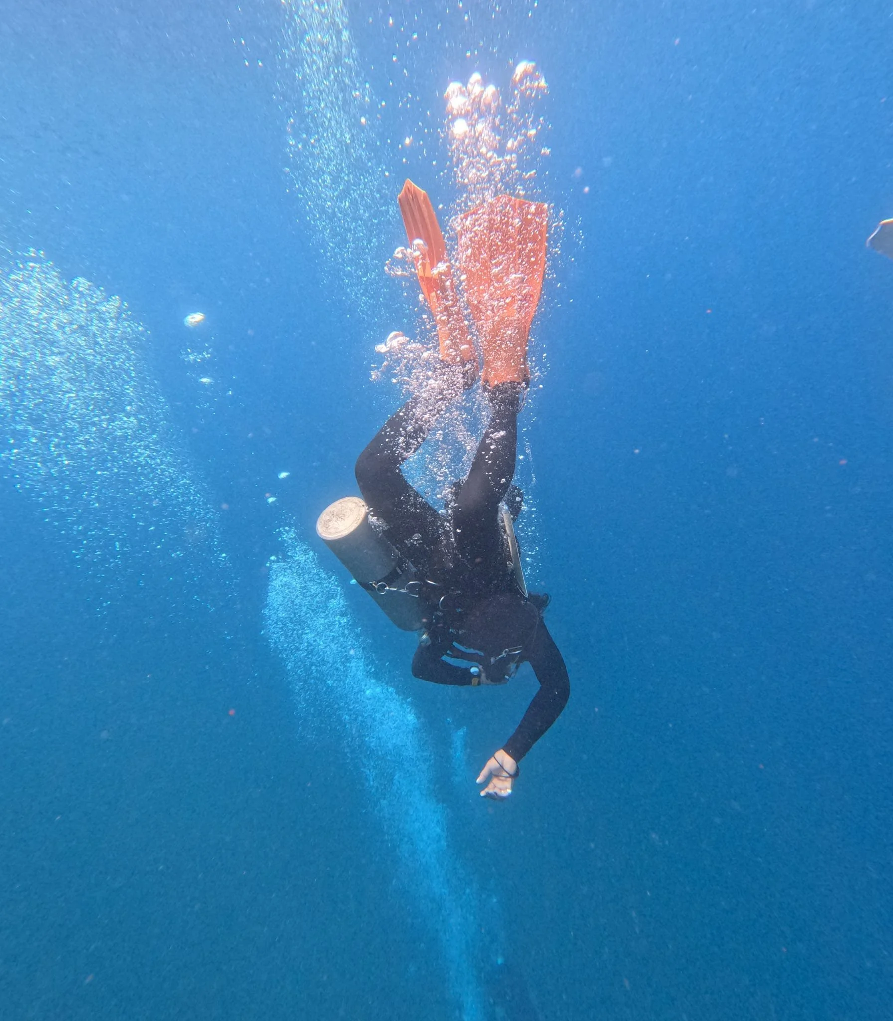 Open water training dive as part of PADI Instructor Development Course