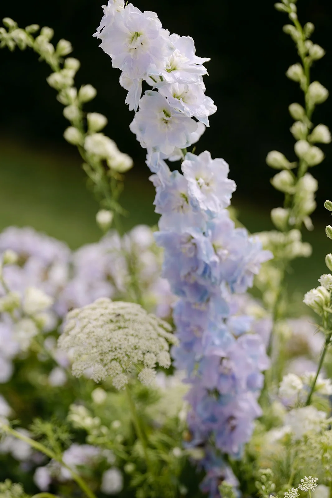 IMG_ (988)_websize.jpg