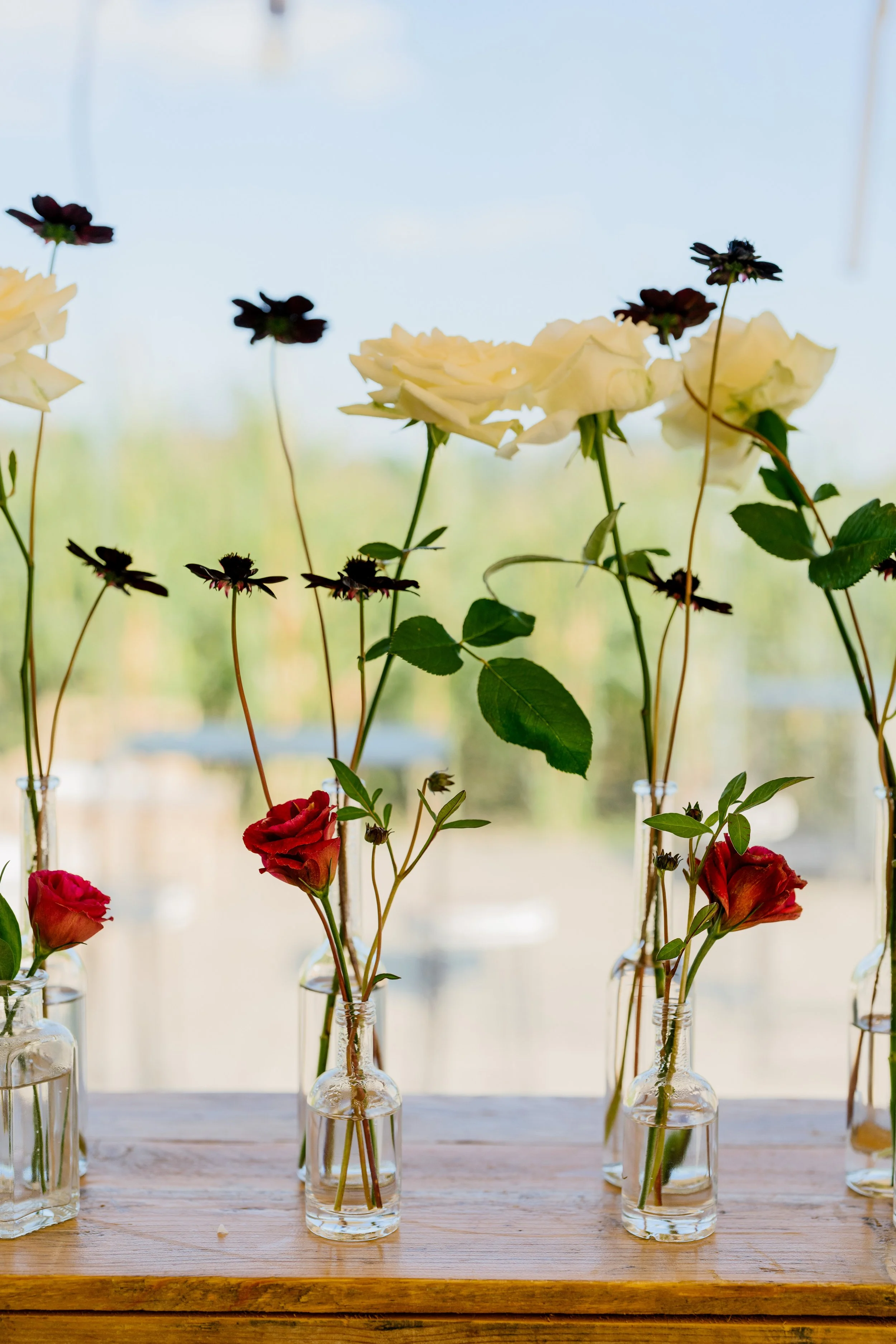 felix-boniface-lauranne-frederik-391 copy.jpg