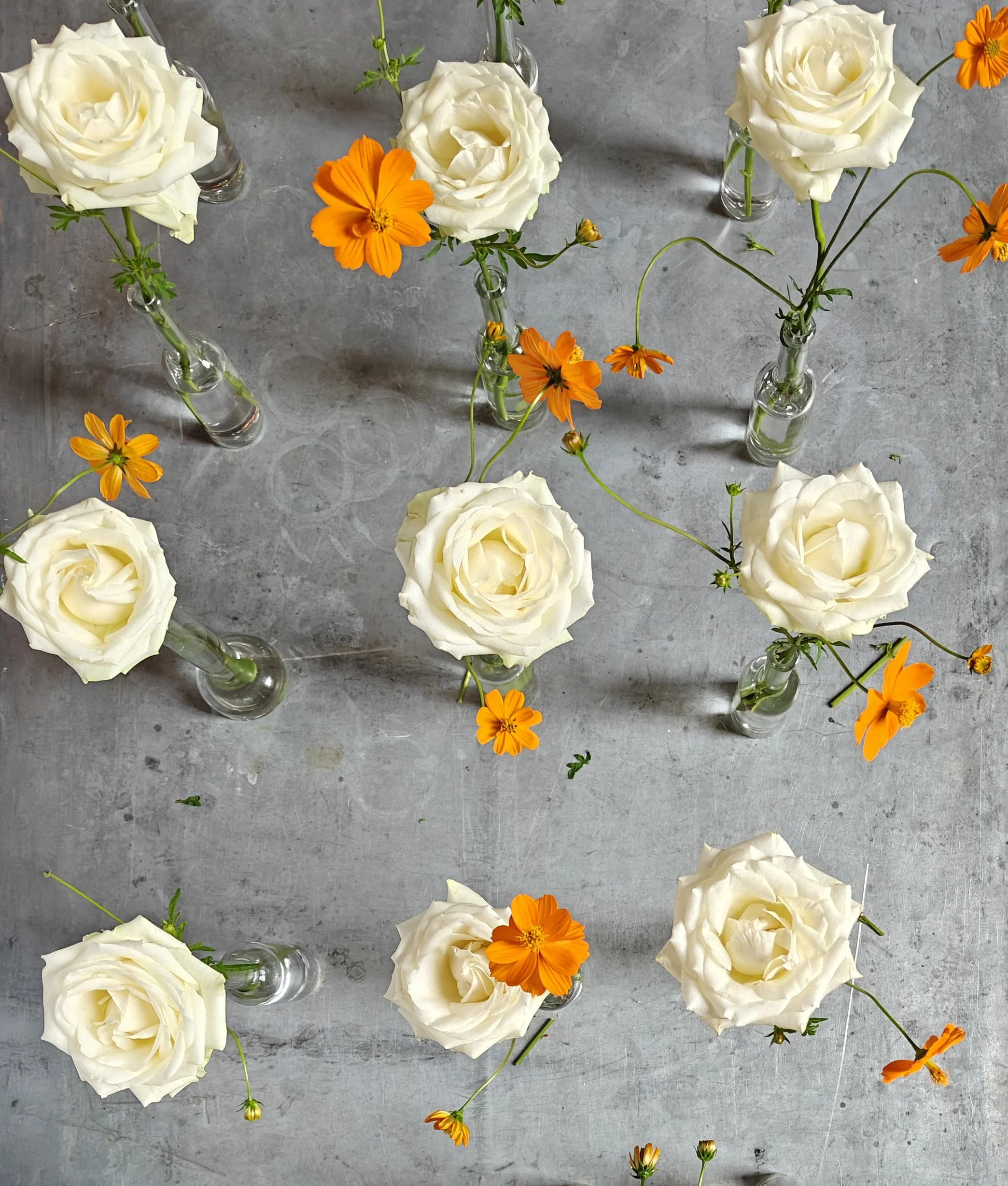 IMG20250816155842 copy.jpg