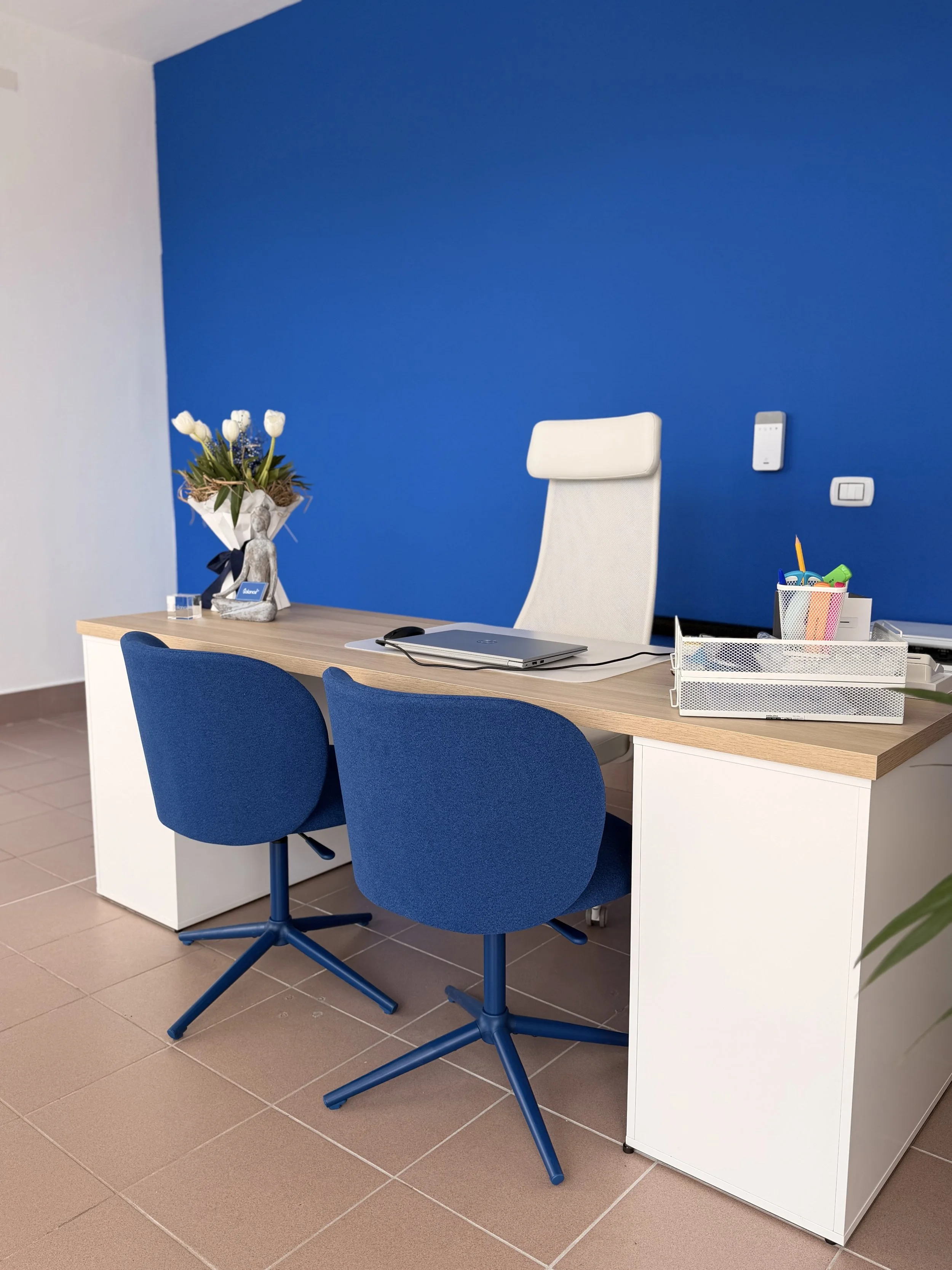 Ufficio con scrivania, due sedie blu, una sedia bianca, e una parete blu. Vari oggetti sulla scrivania, tra cui una pianta di fiori, un portatile e una scatola con penne e matite.
