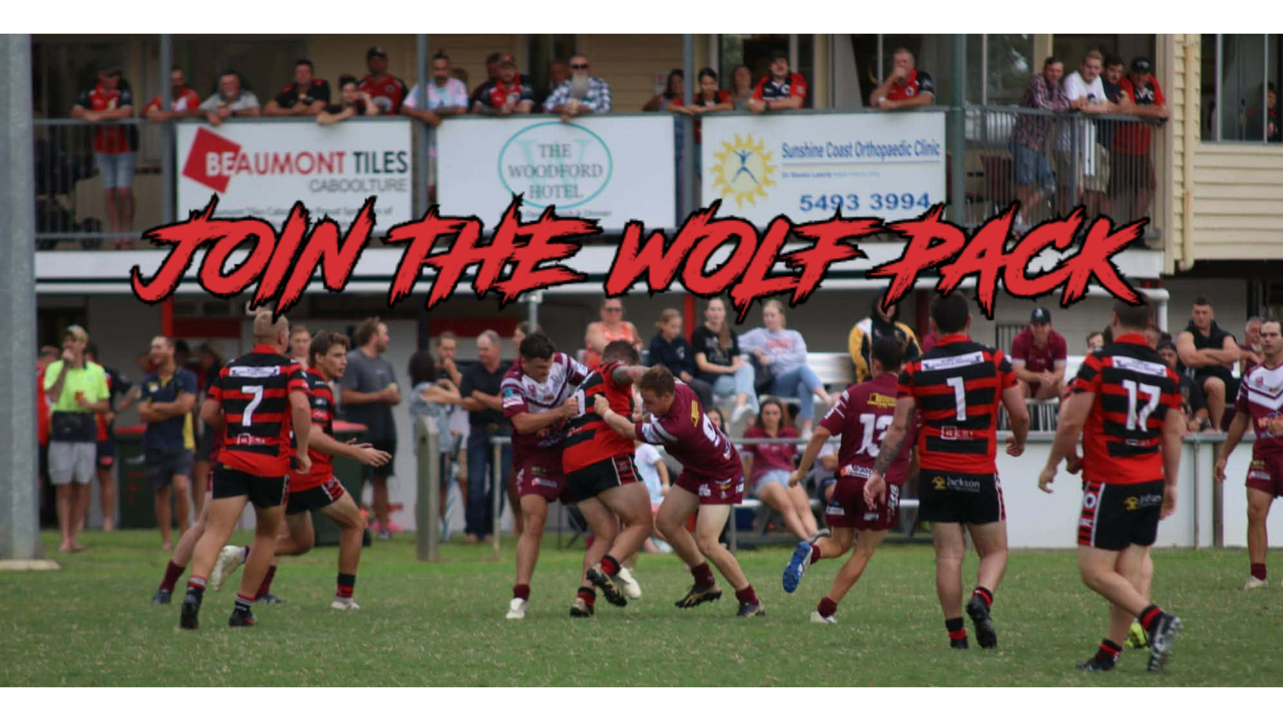 A group of rugby players in red, black, and burgundy uniforms engaged in a match on a grassy field, with spectators watching from a balcony and seated in the background. Overlaid text says, 'Join the Wolf Pack' in red, bold, graffiti-style font.