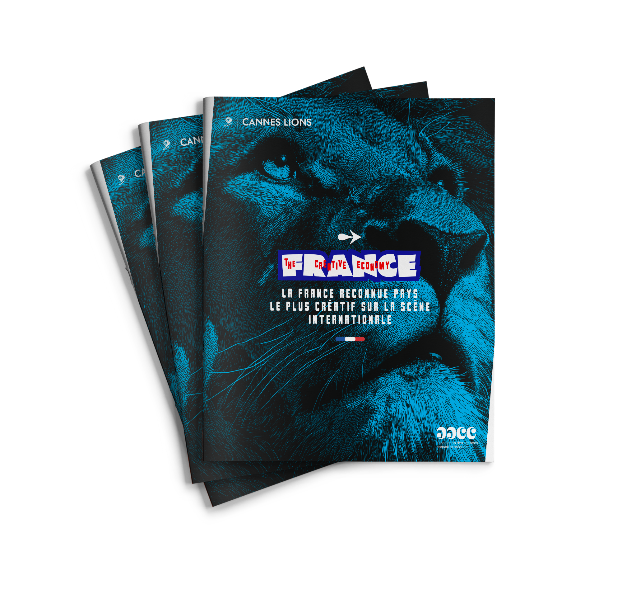 AACCCover.png