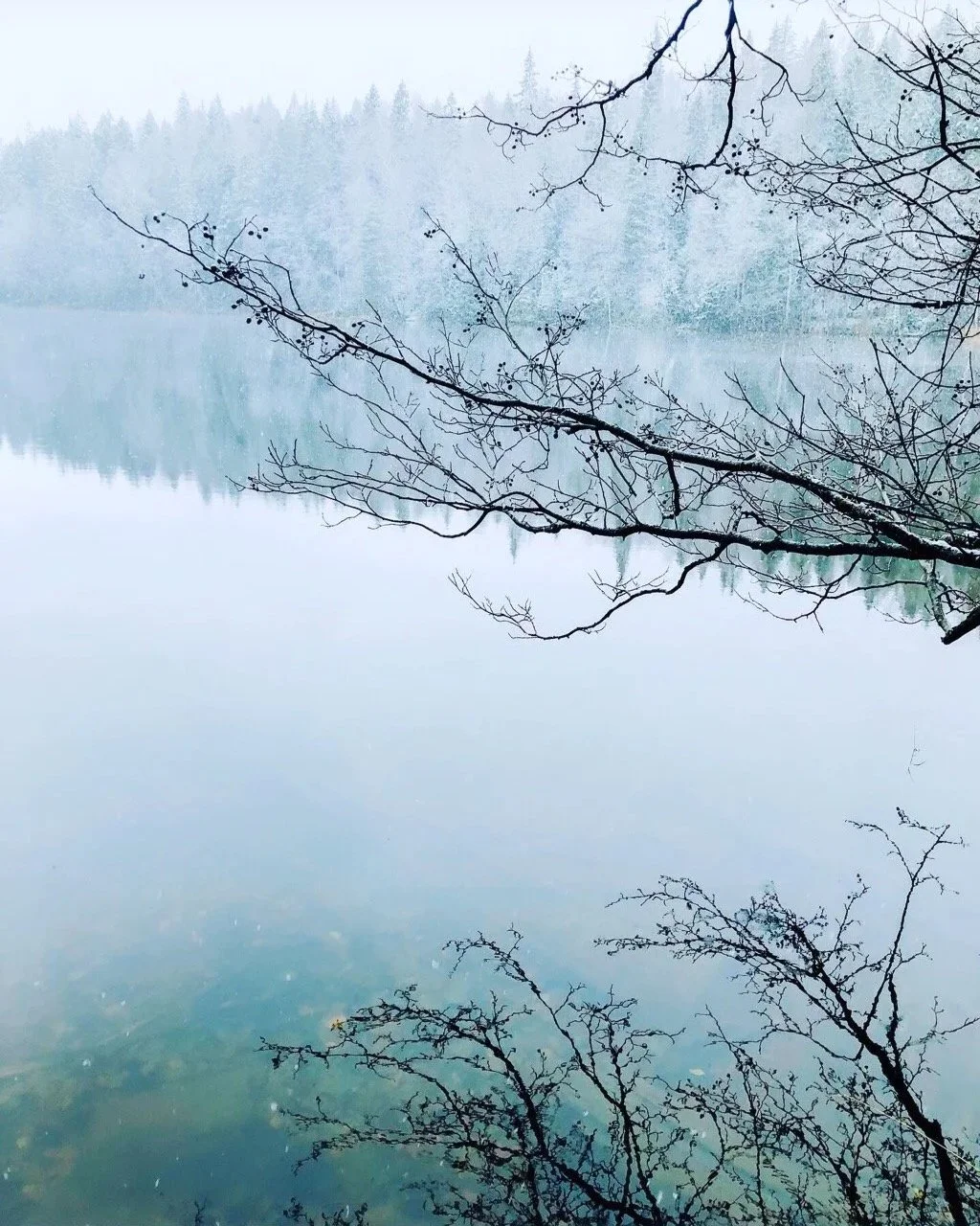 Talvinen järvimaisema, jossa lumiset havupuut ja kevyesti putoavat lumihiutaleet luovat rauhallisen tunnelman.