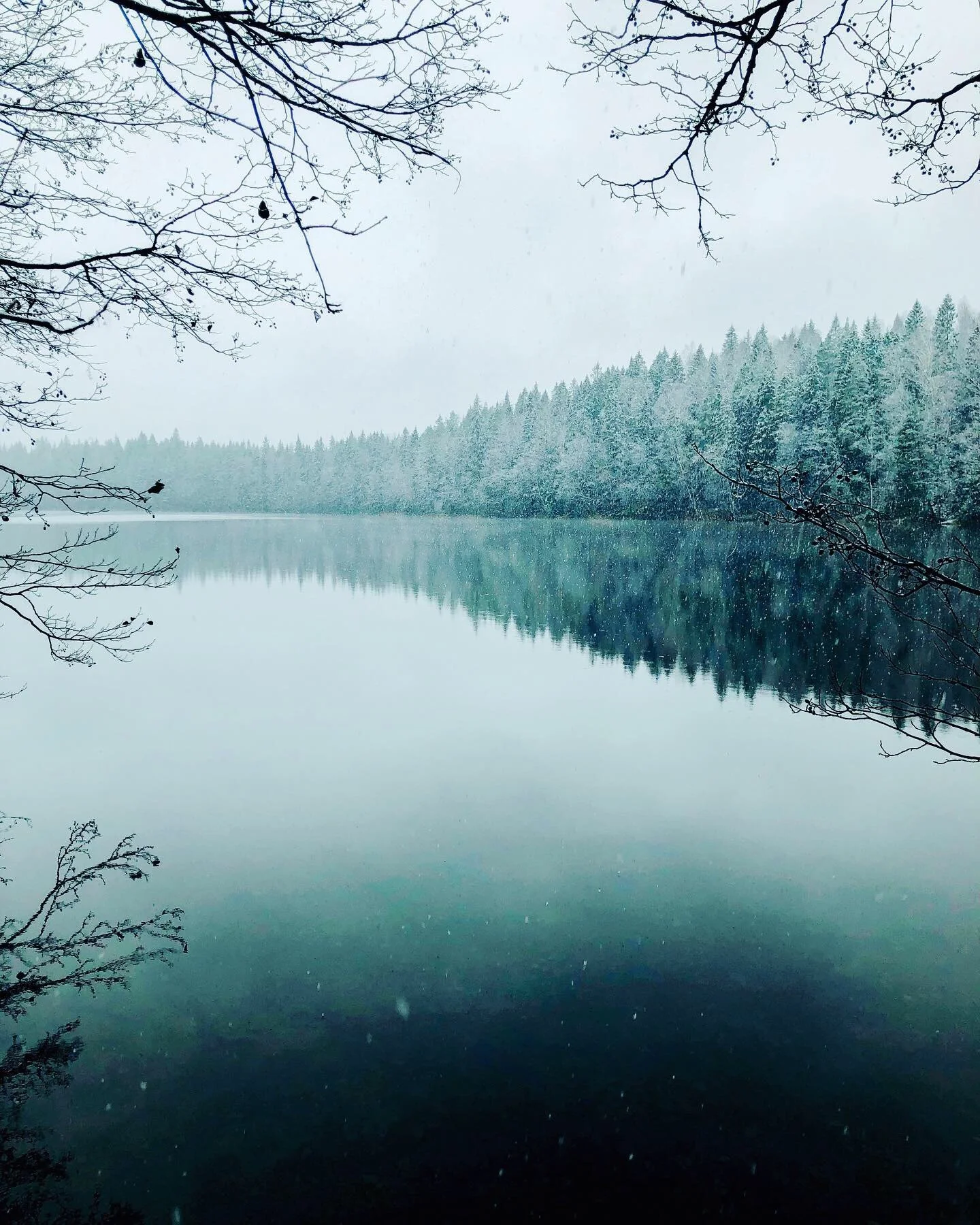 Talvinen järvimaisema, jossa lumiset havupuut heijastuvat tyynestä vedestä ja lumihiutaleet leijailevat etualalla.