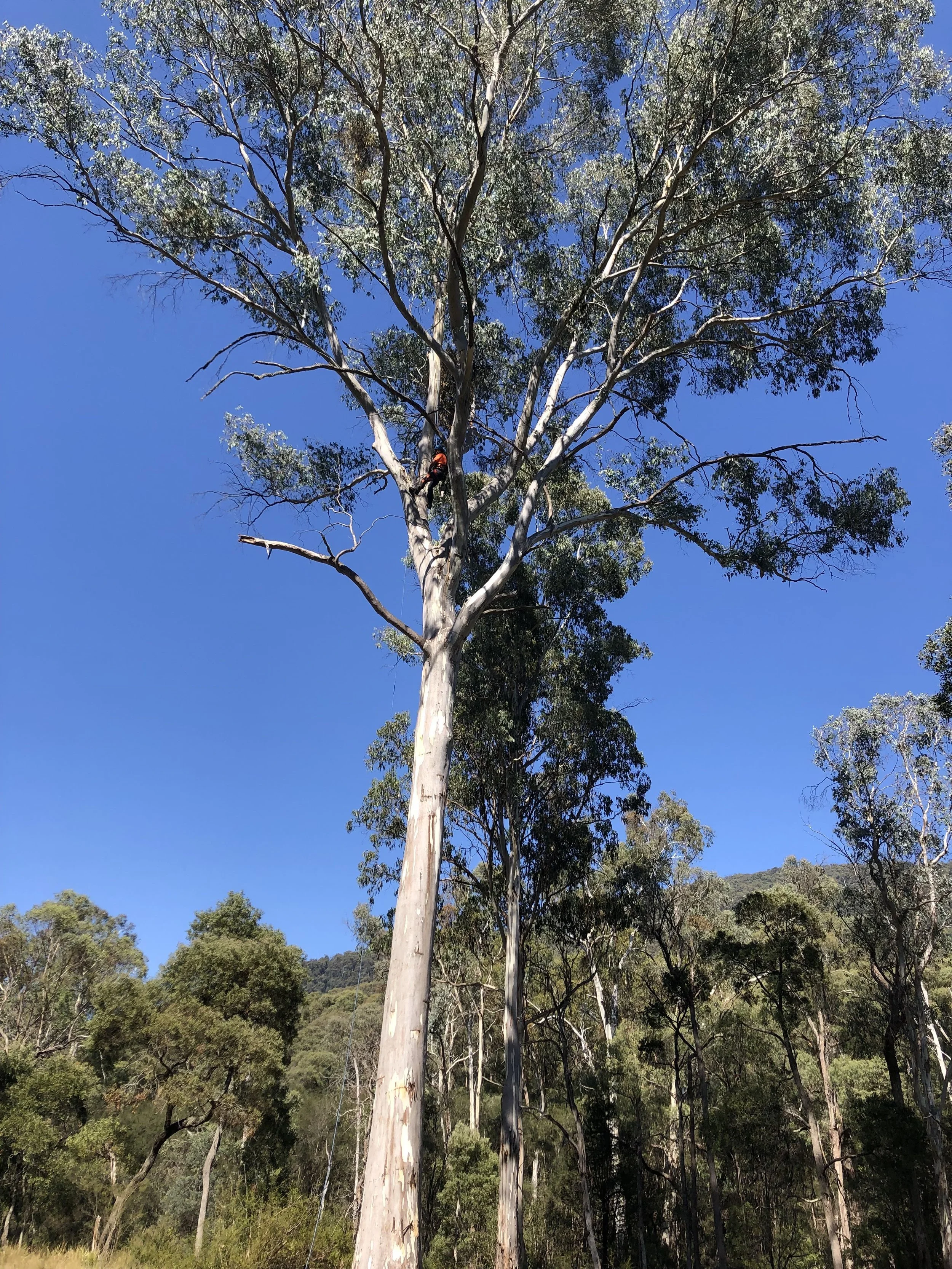 Preparing your Property for Bushfire Season