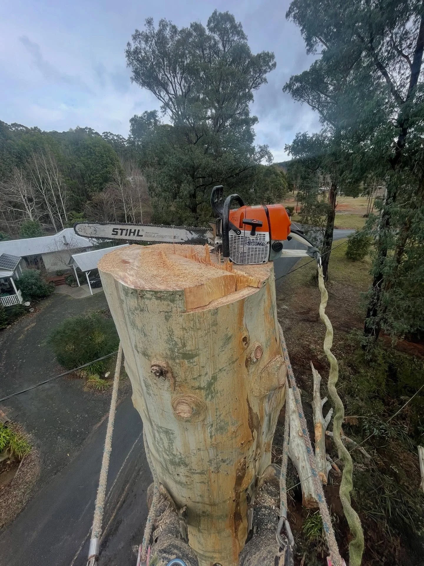 #stihl #climbing #arborist #ms660