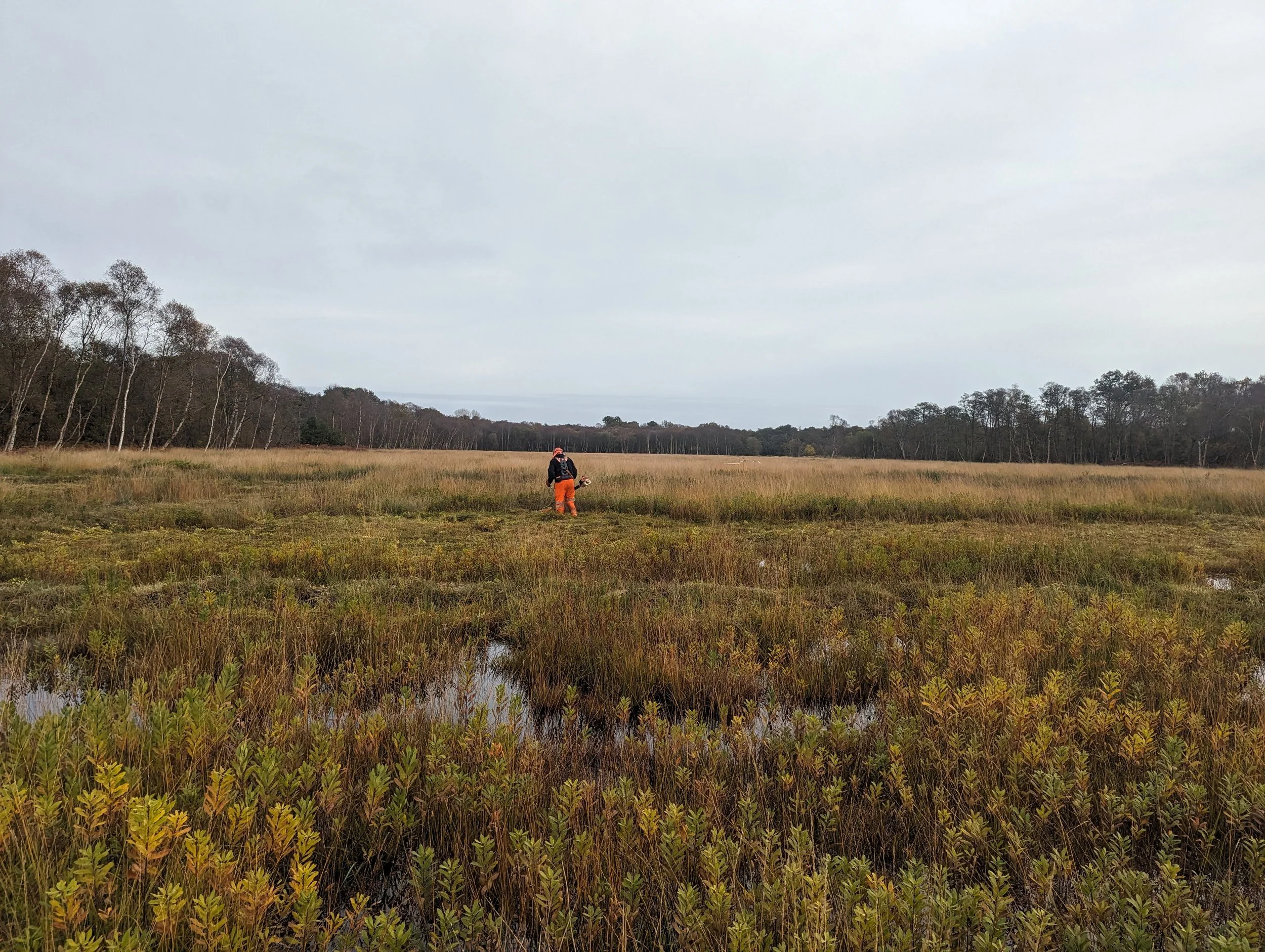 Nature conservation and habitat management