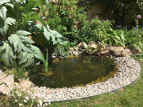 Ponds for Wildlife