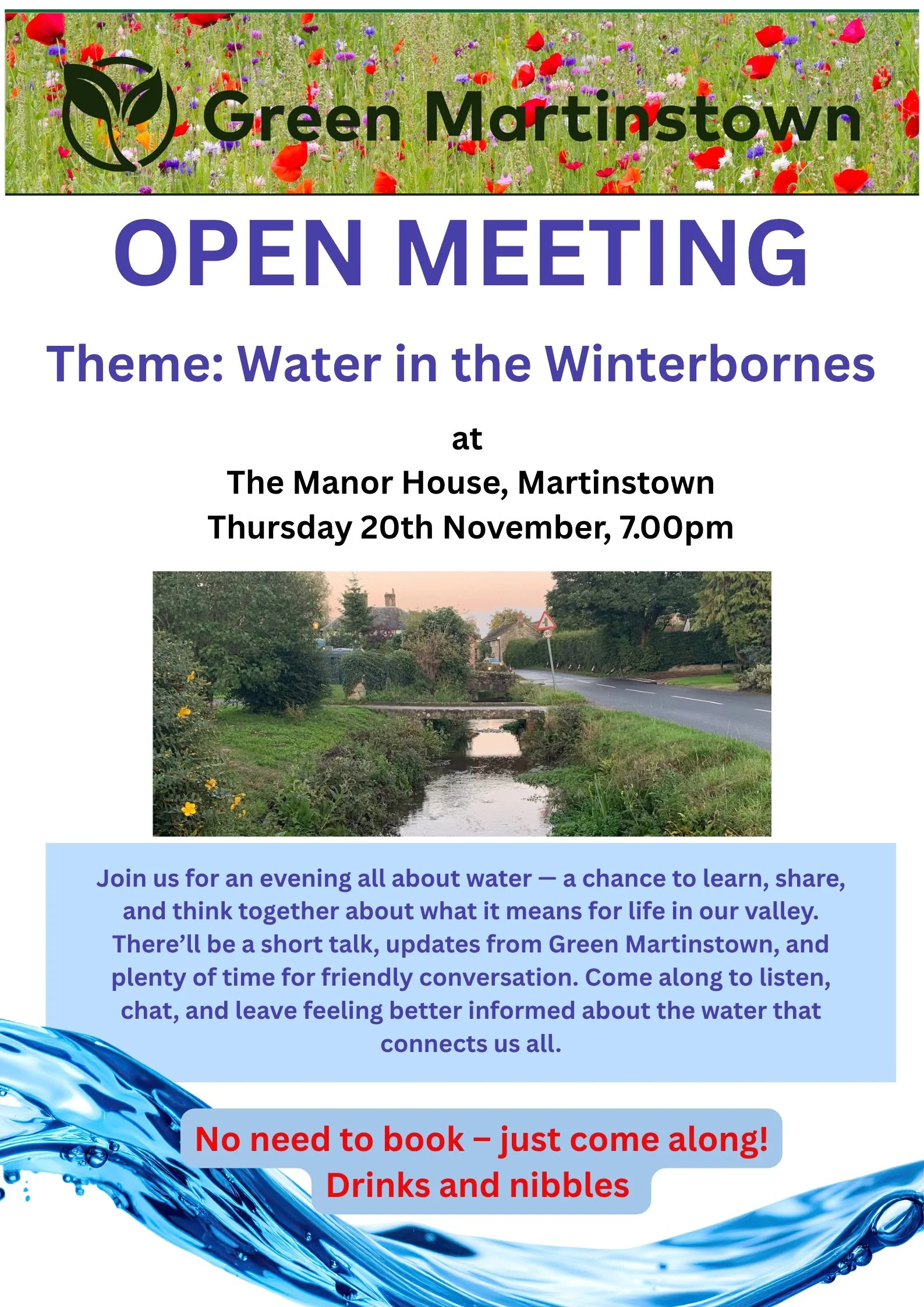 Green Martinstown Open Evening on “Water”: A Summary