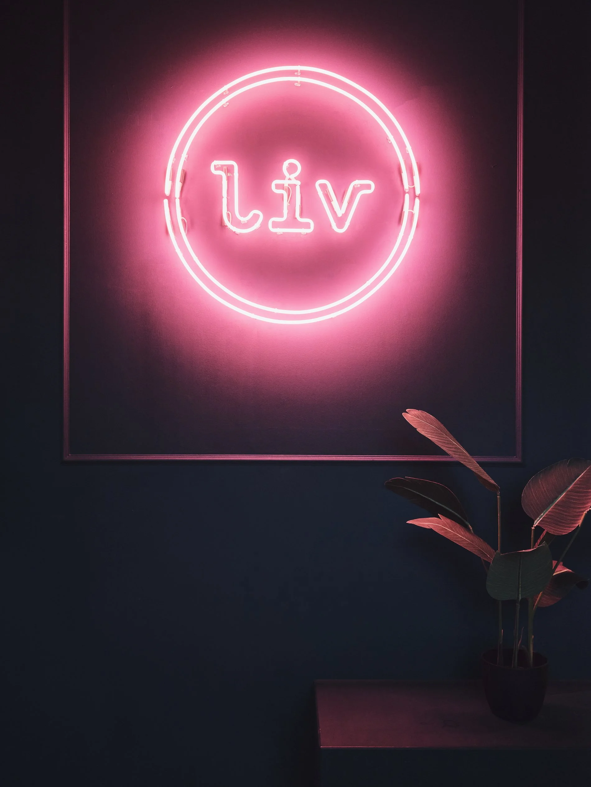 Liv Bar Bielefeld. Pink neon sign spelling 'liv' inside a circle on a dark wall, with a potted plant on a table below